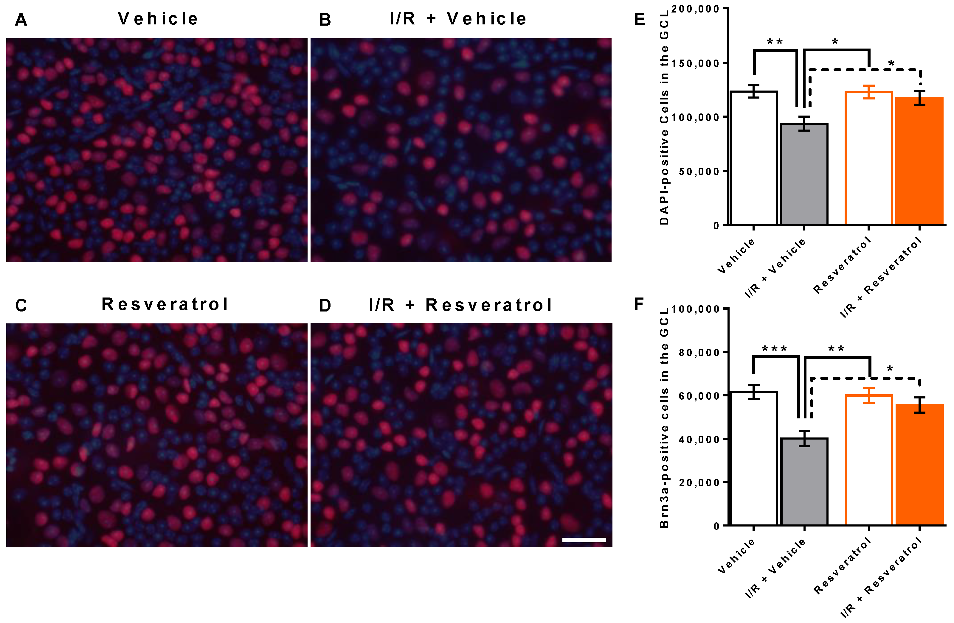 Antioxidants 12 00853 g001 Antioxidants 12 00853 g001
