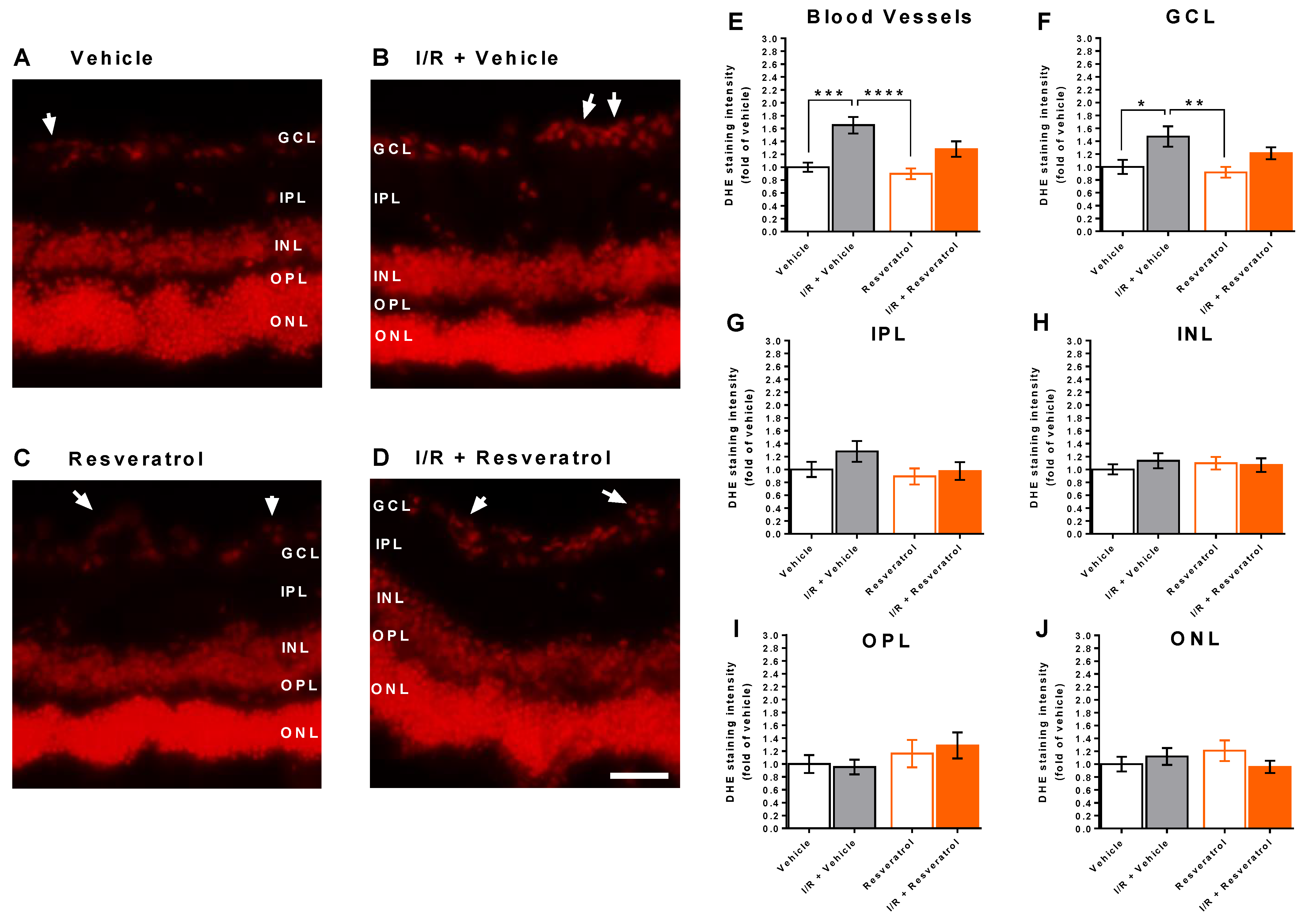 Antioxidants 12 00853 g003 Antioxidants 12 00853 g003