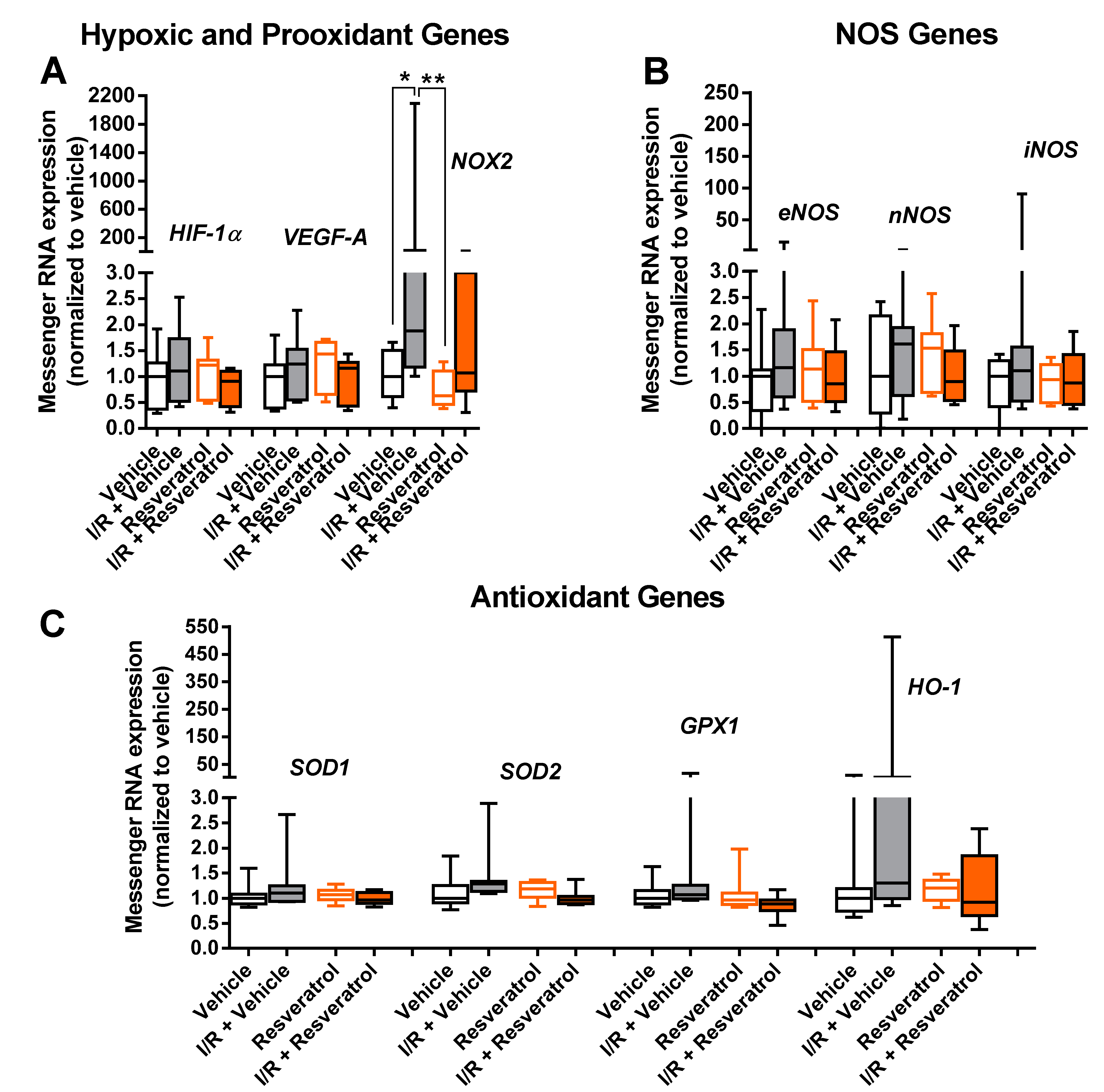 Antioxidants 12 00853 g005 Antioxidants 12 00853 g005