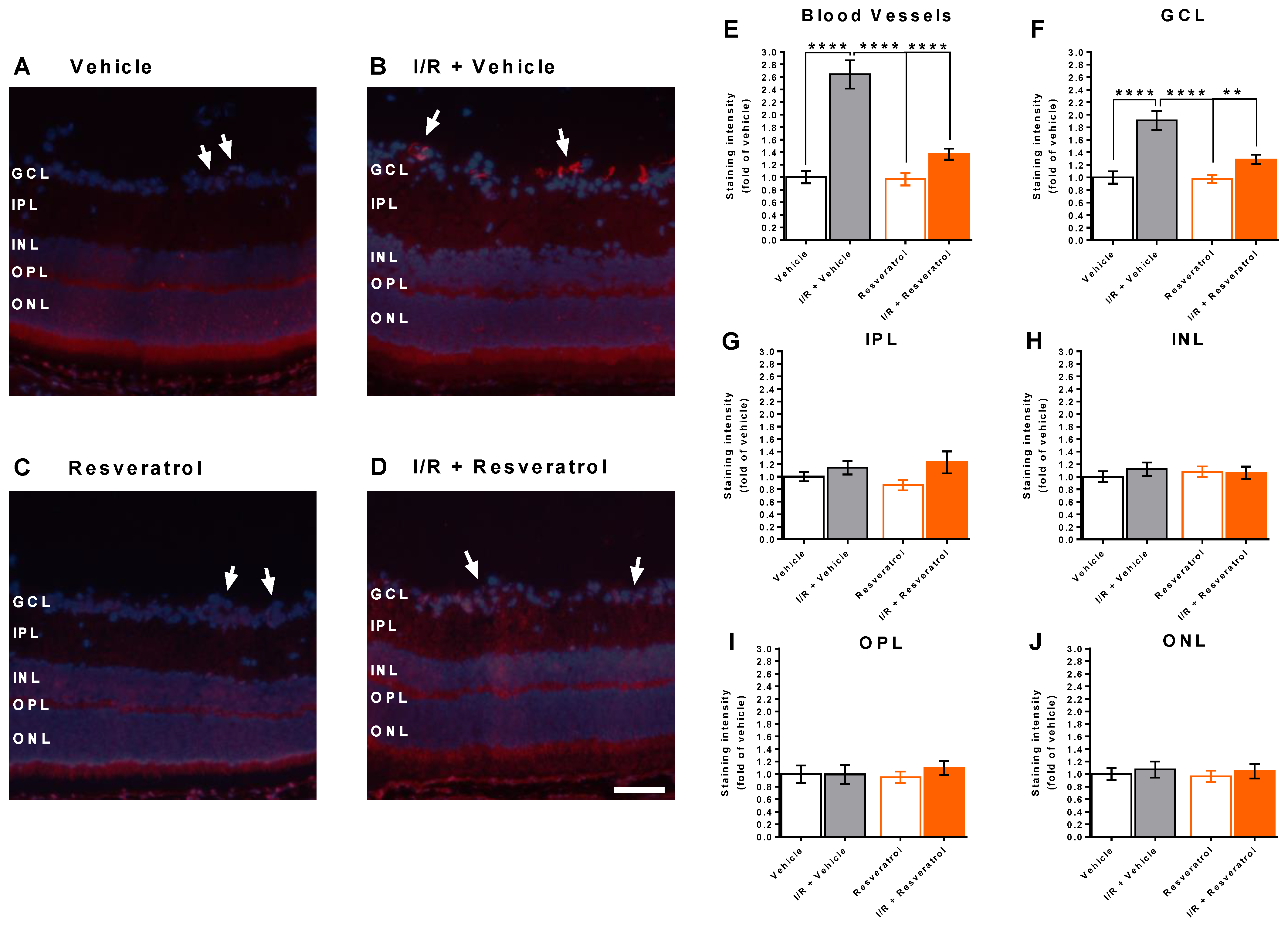 Antioxidants 12 00853 g006 Antioxidants 12 00853 g006
