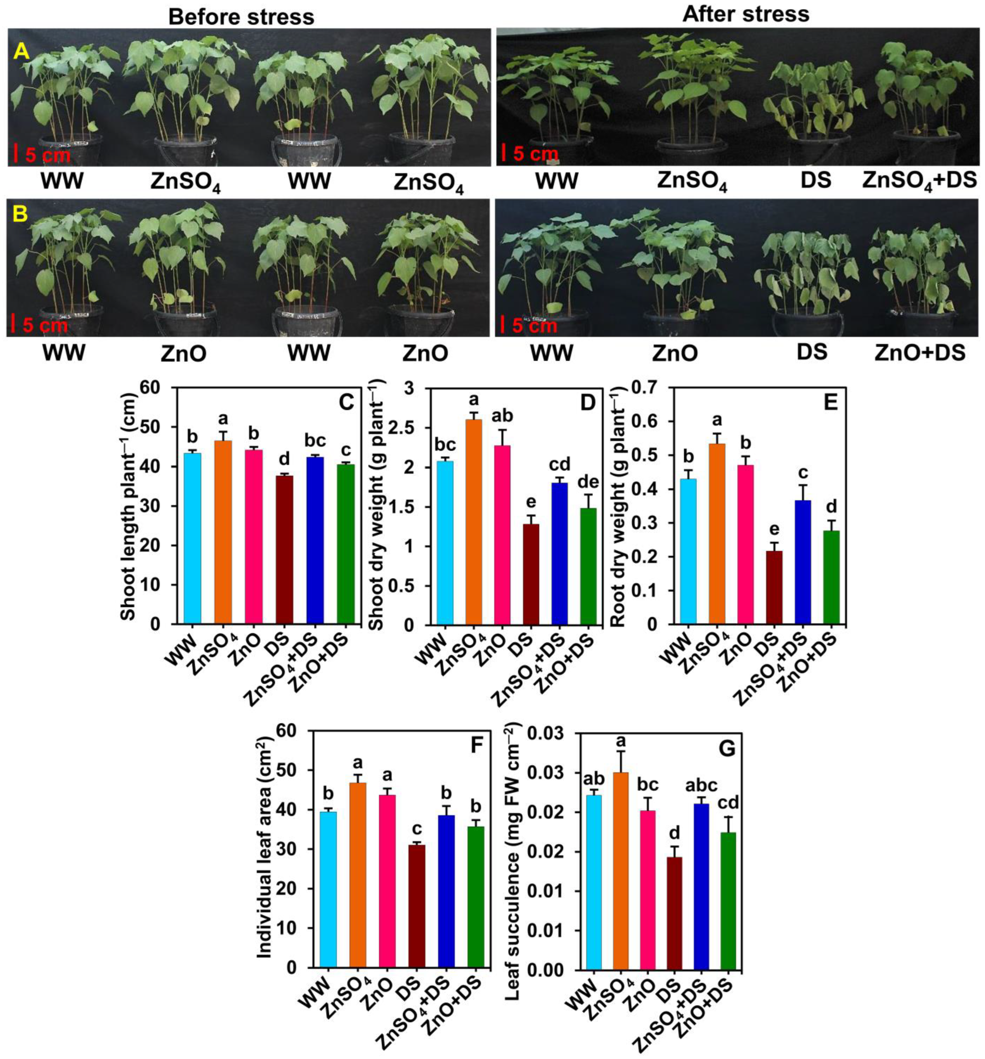 Antioxidants 12 00854 g001