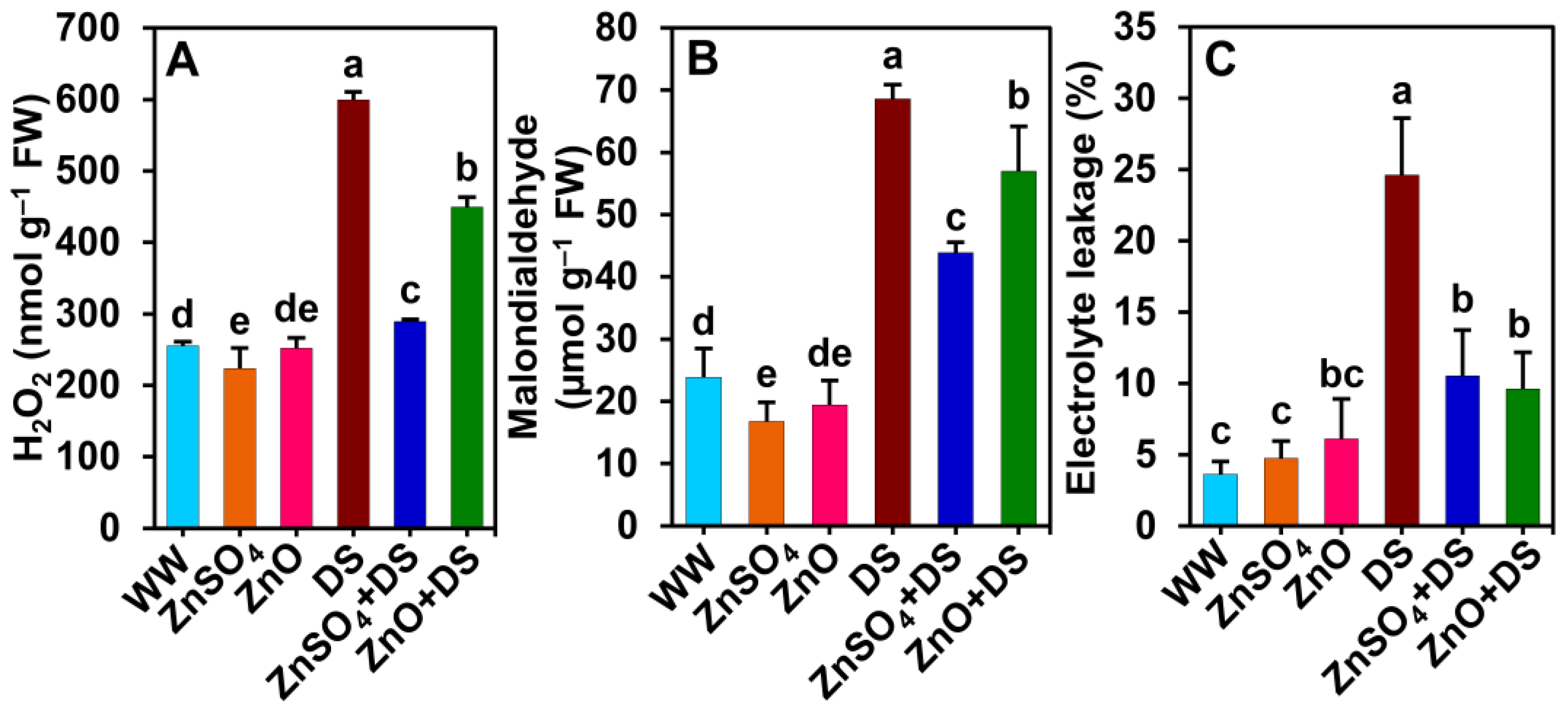 Antioxidants 12 00854 g004