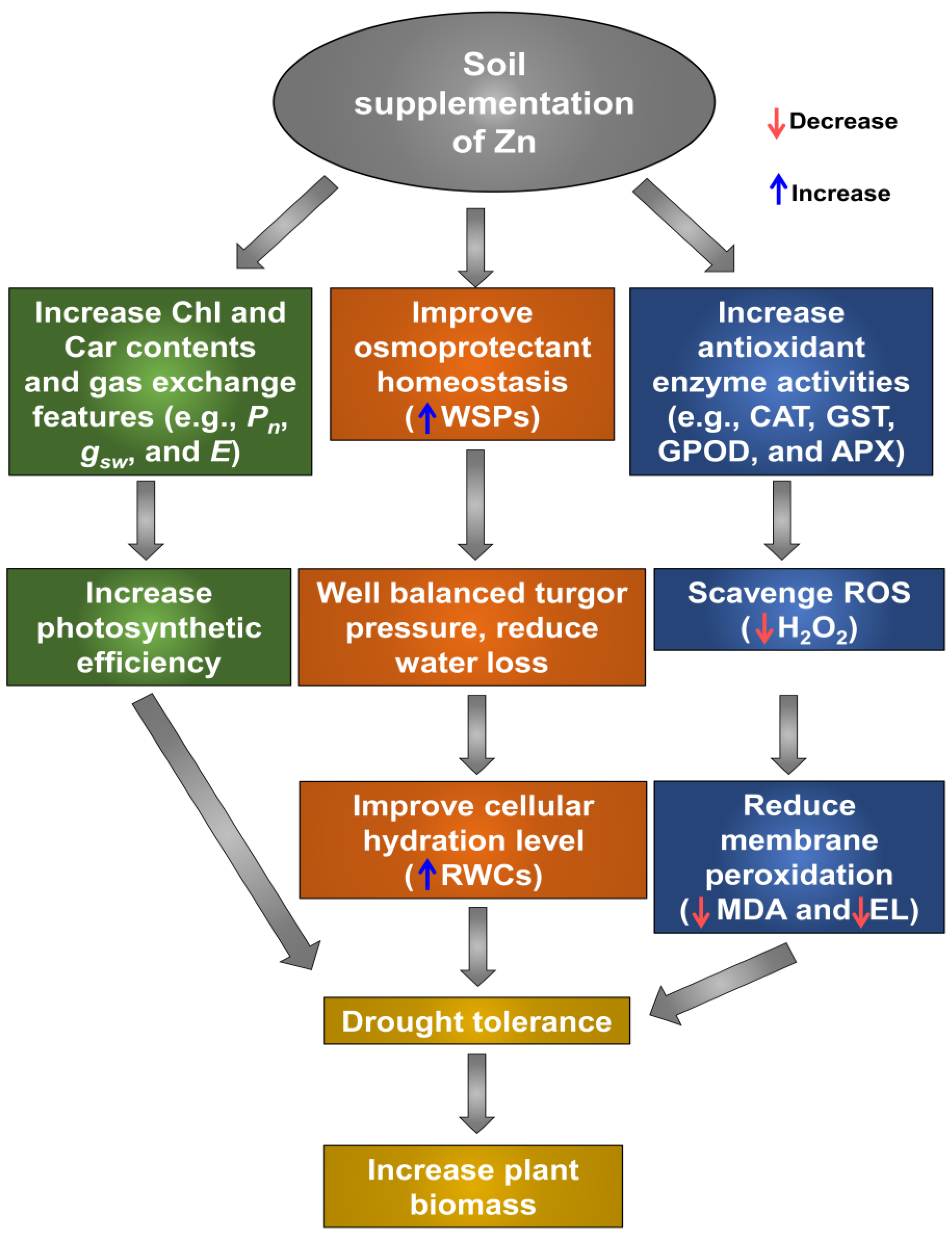 Antioxidants 12 00854 g007
