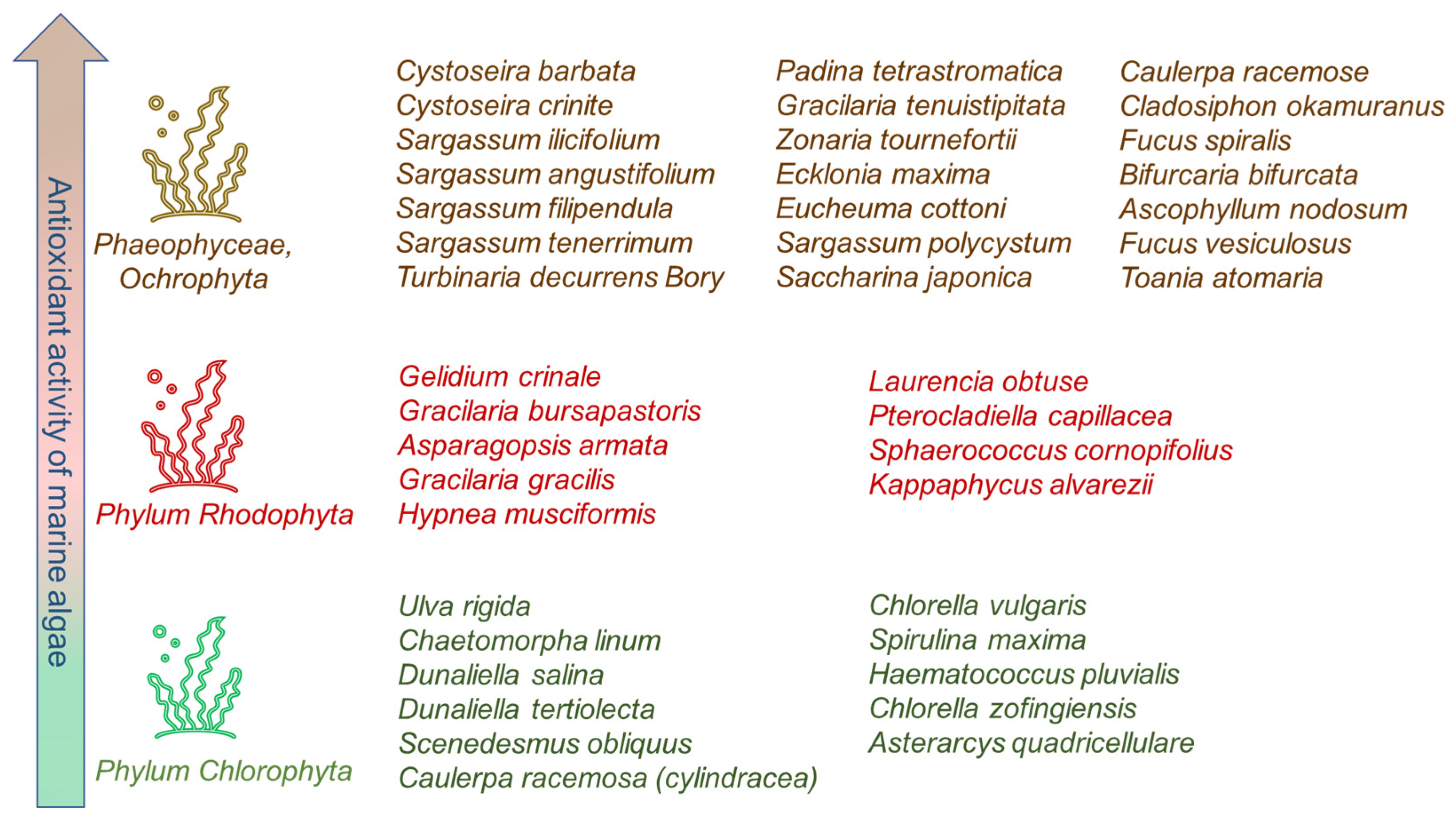 Antioxidants 12 00860 g010 Antioxidants 12 00860 g010
