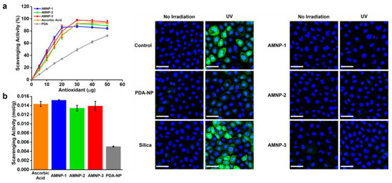 Recent Applications of Melanin-like Nanoparticles as Antioxidant