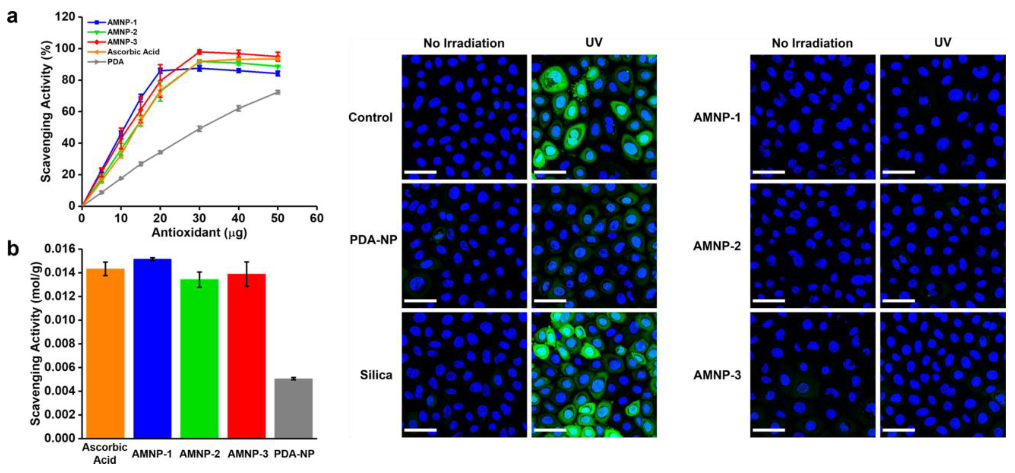 Antioxidants 12 00863 g004