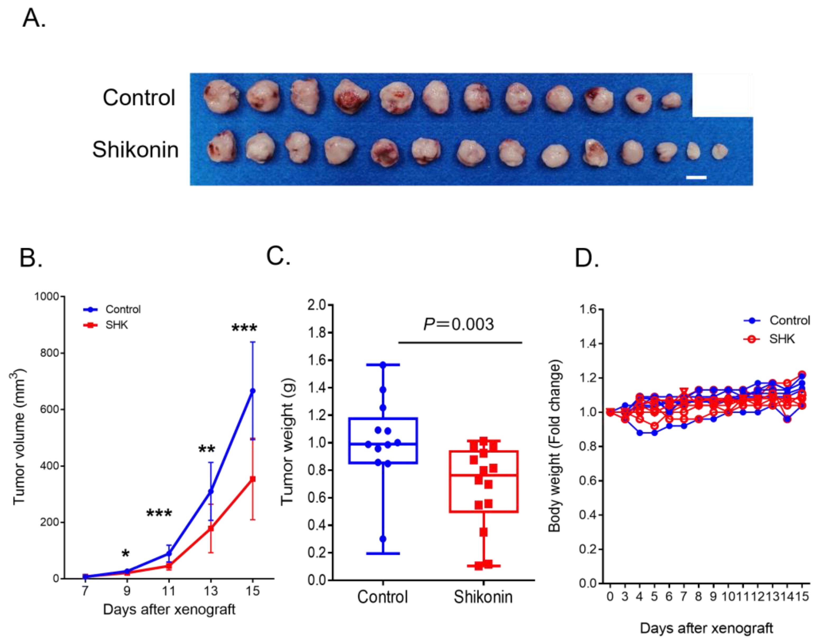 Antioxidants 12 00864 g006