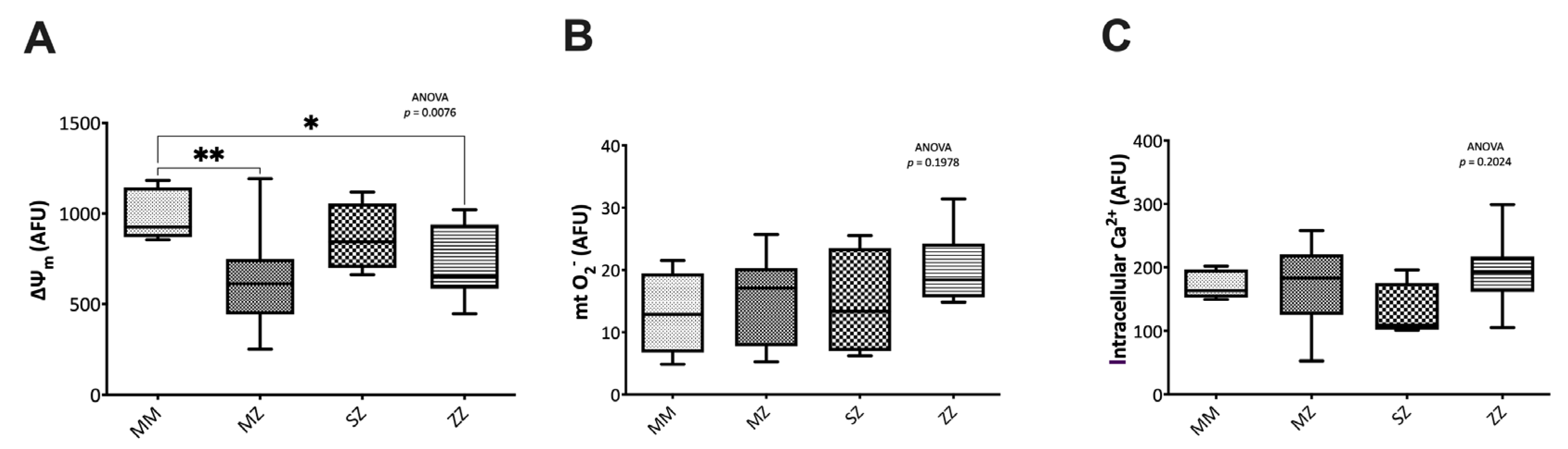 Antioxidants 12 00872 g002 Antioxidants 12 00872 g002