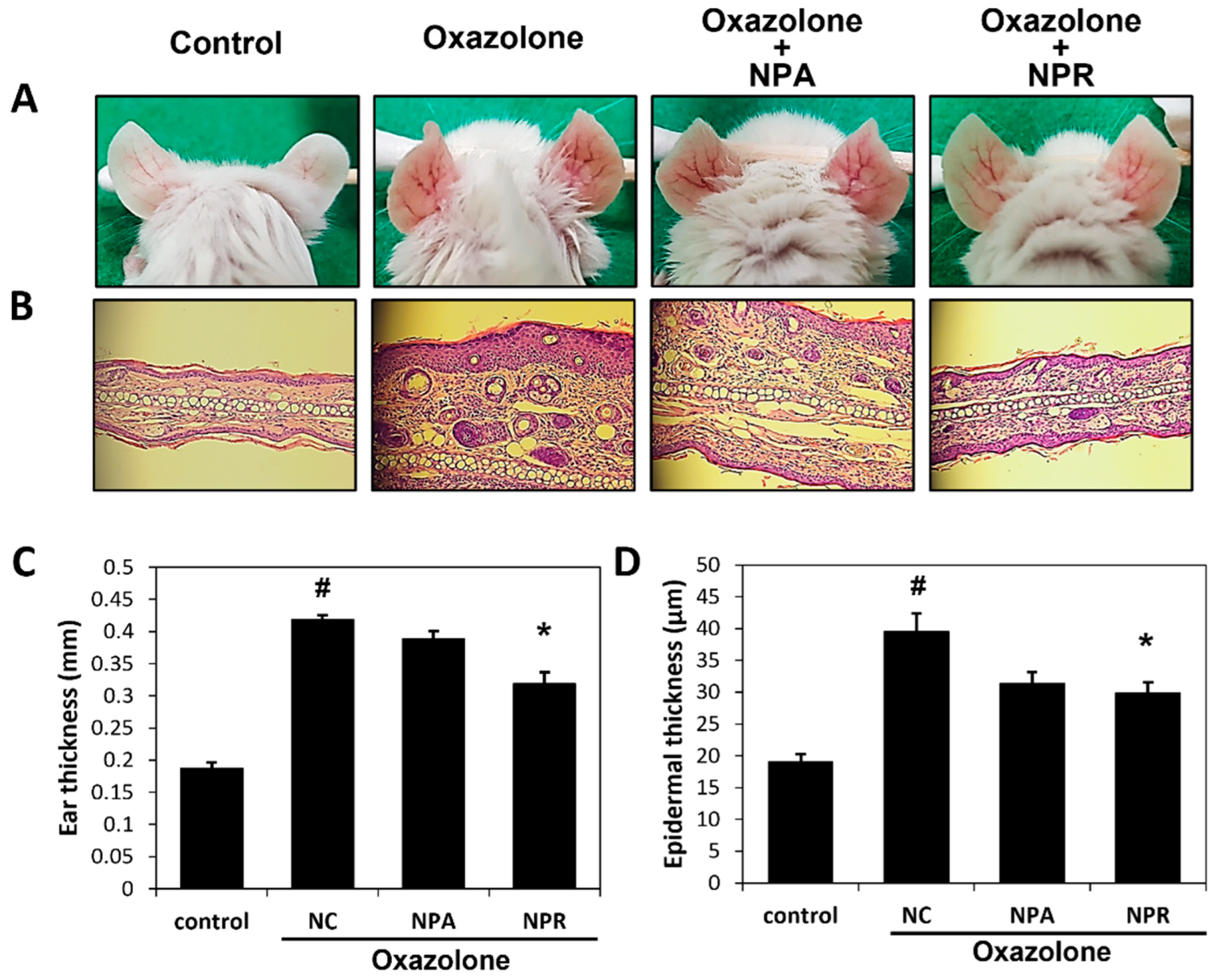 Antioxidants 12 00873 g002 Antioxidants 12 00873 g002