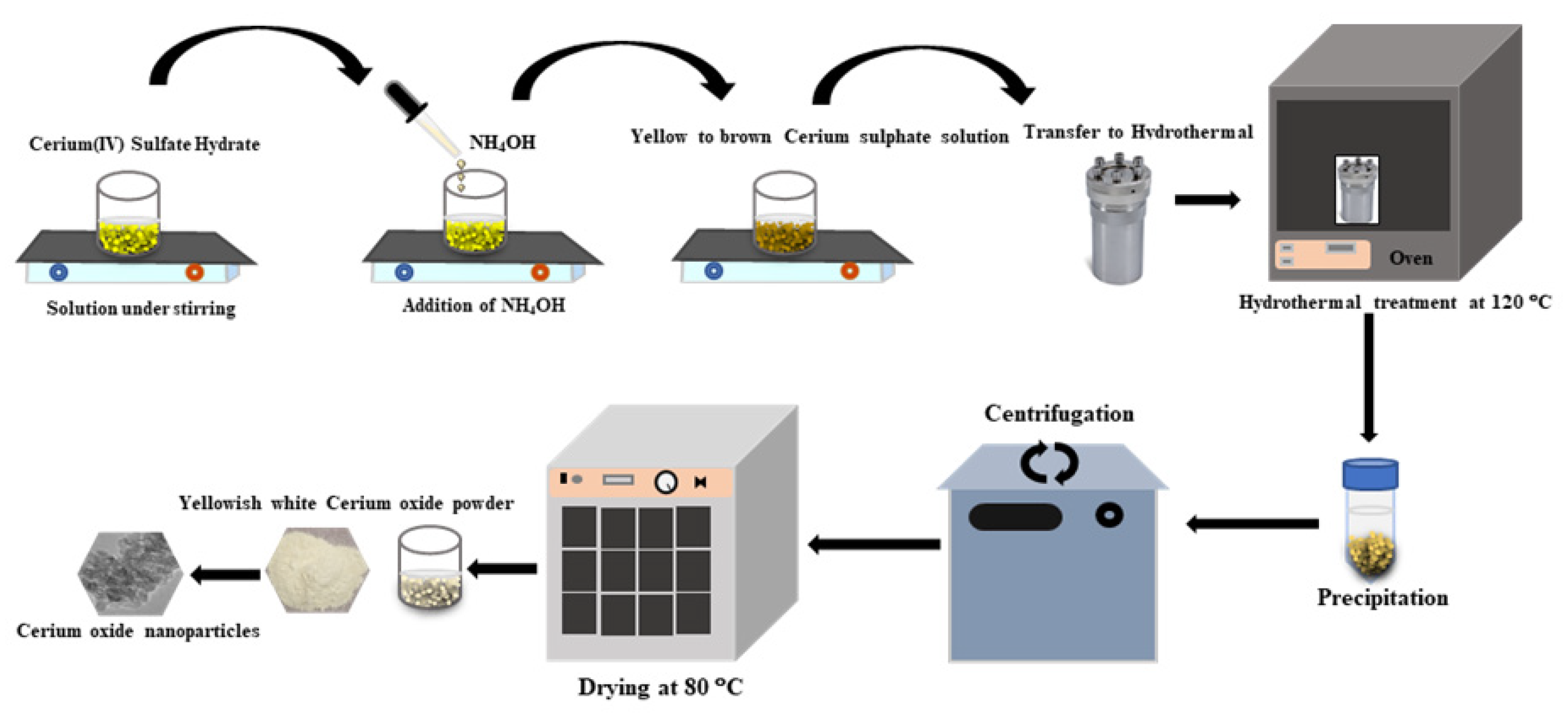 Antioxidants 12 00877 g001