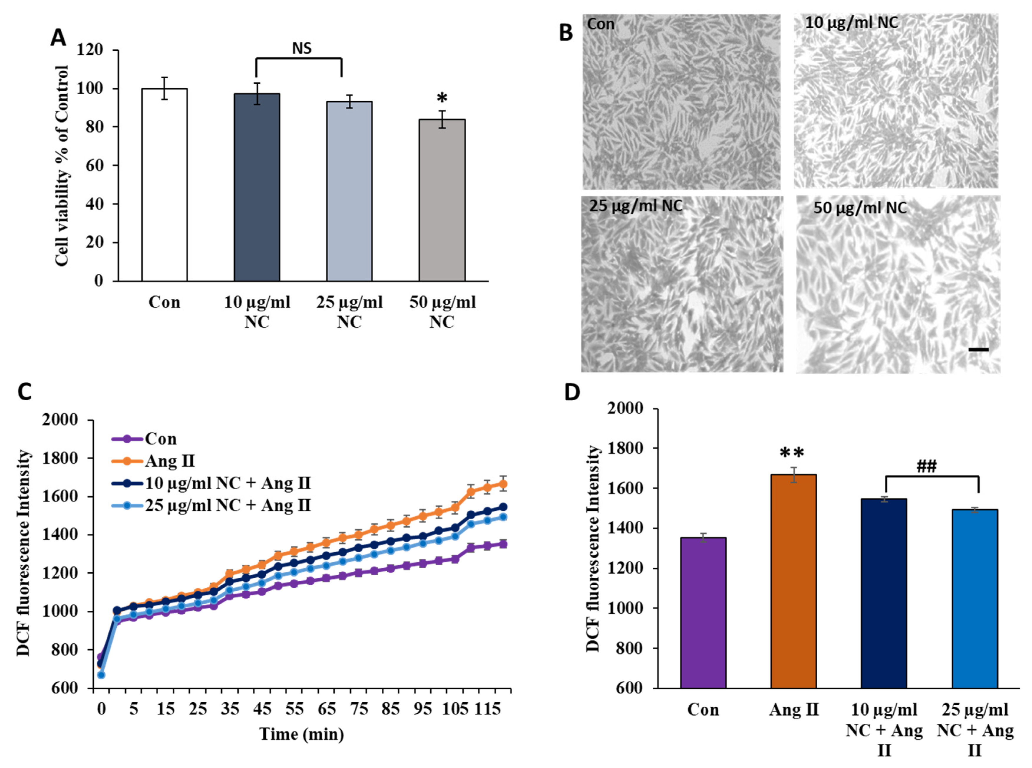Antioxidants 12 00877 g003