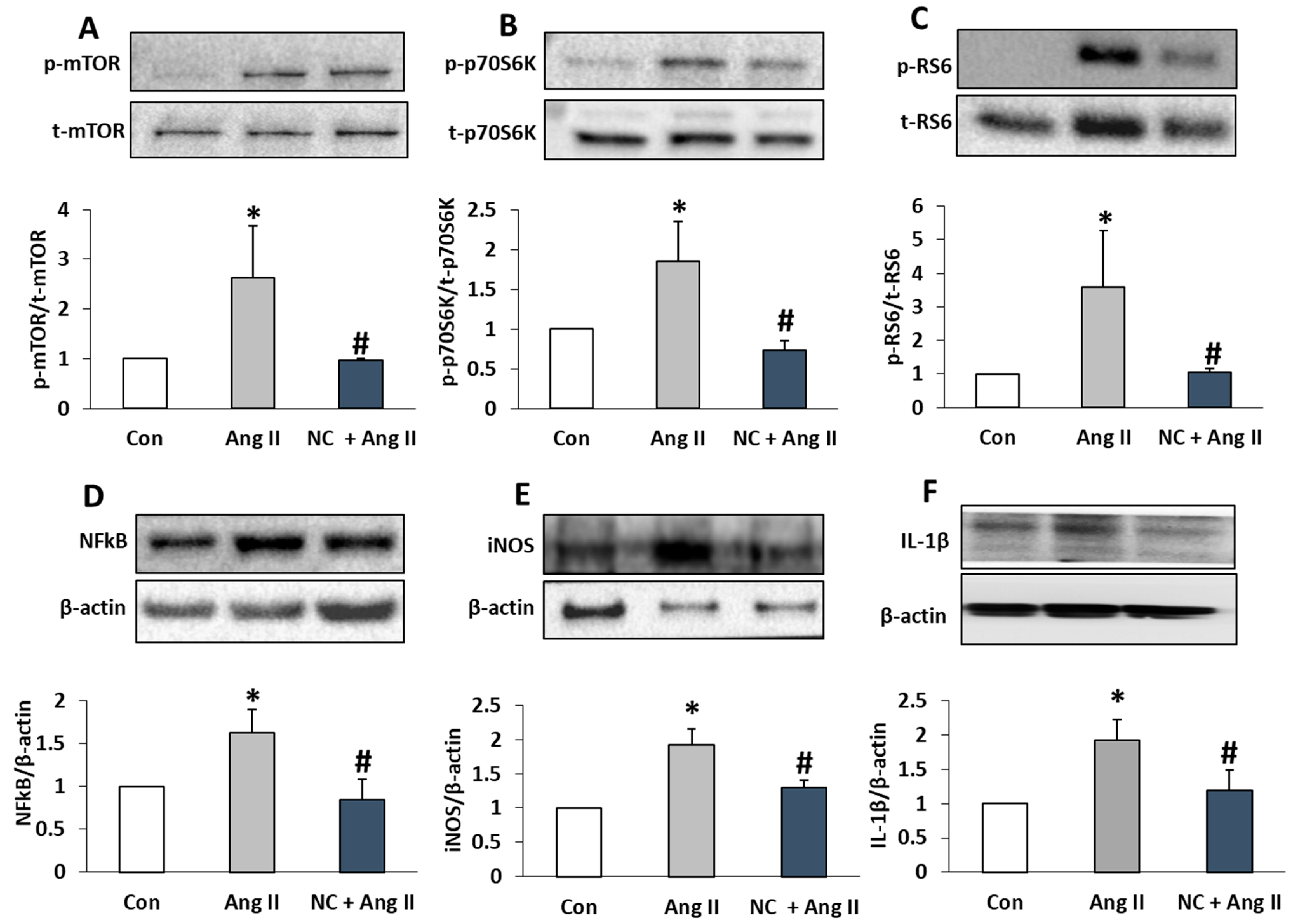 Antioxidants 12 00877 g004