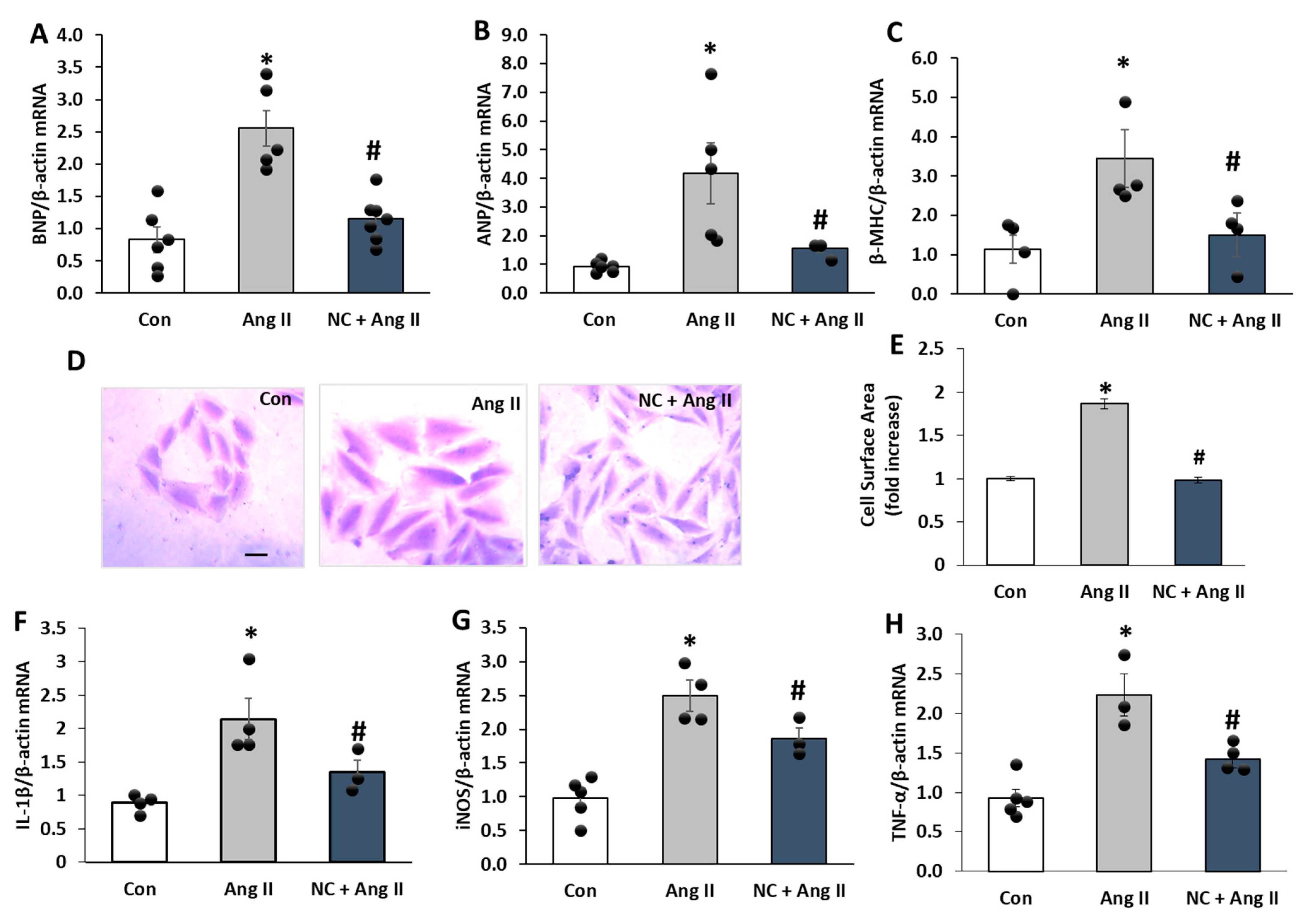 Antioxidants 12 00877 g005