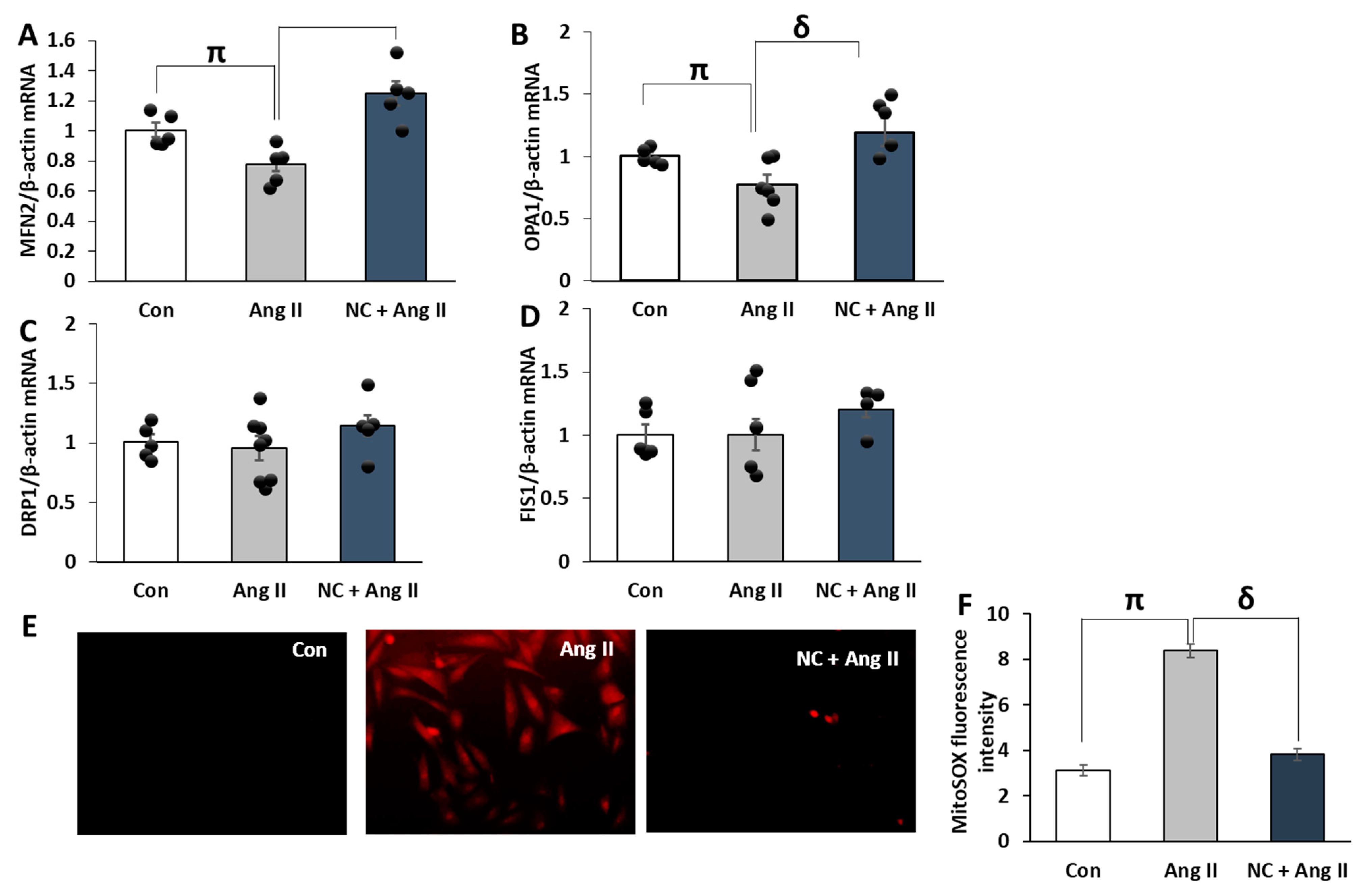Antioxidants 12 00877 g008