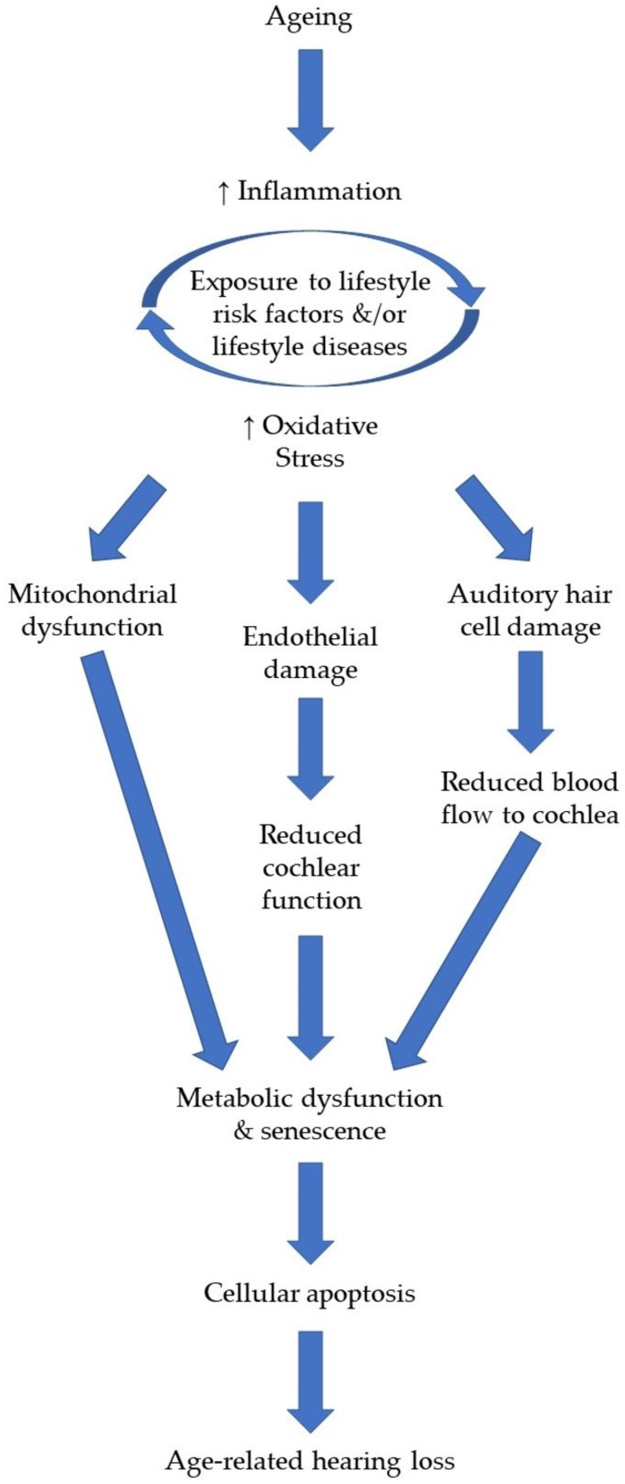 Antioxidants 12 00878 g001
