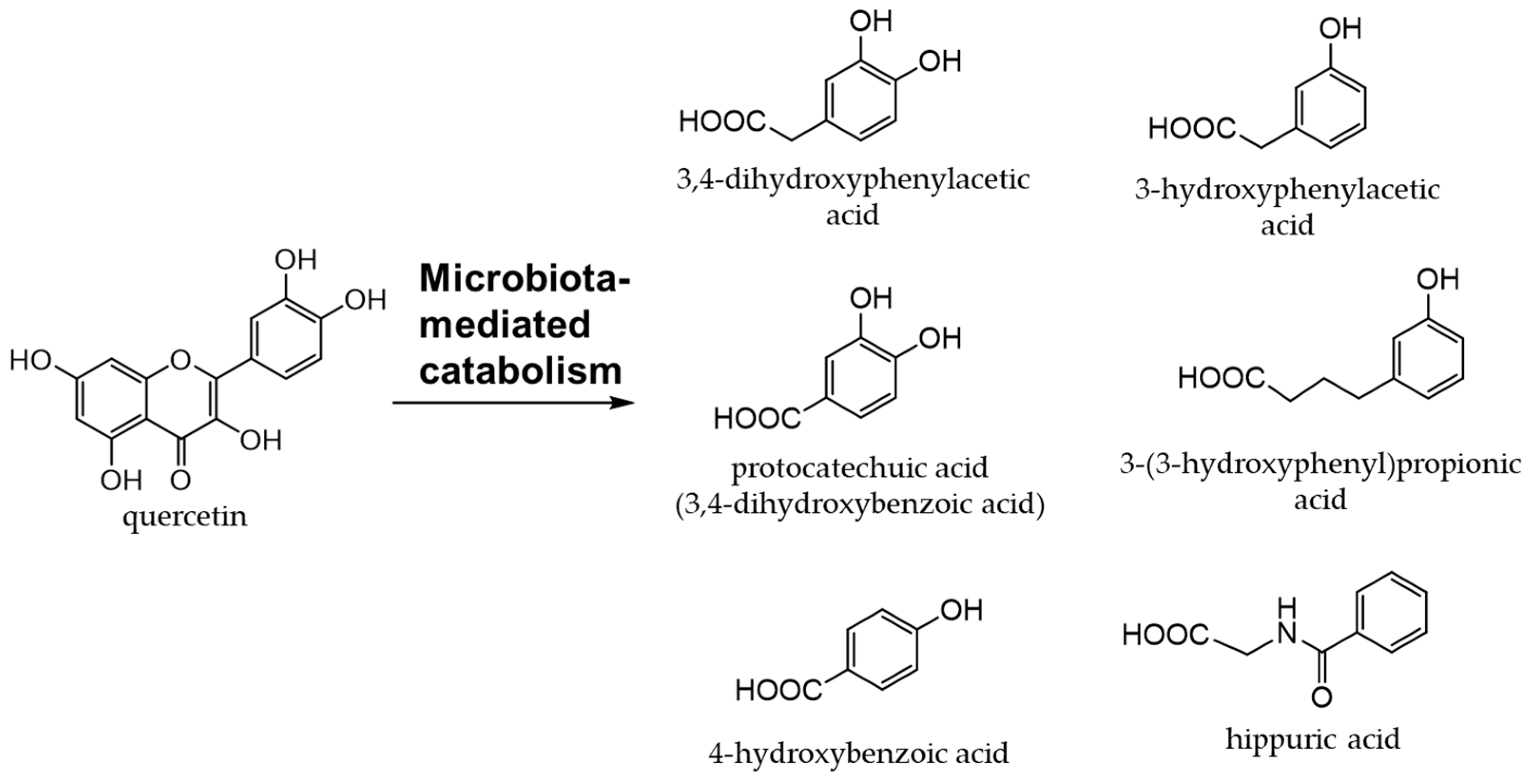 Antioxidants Free FullText Dietary Phenolic Compounds Their
