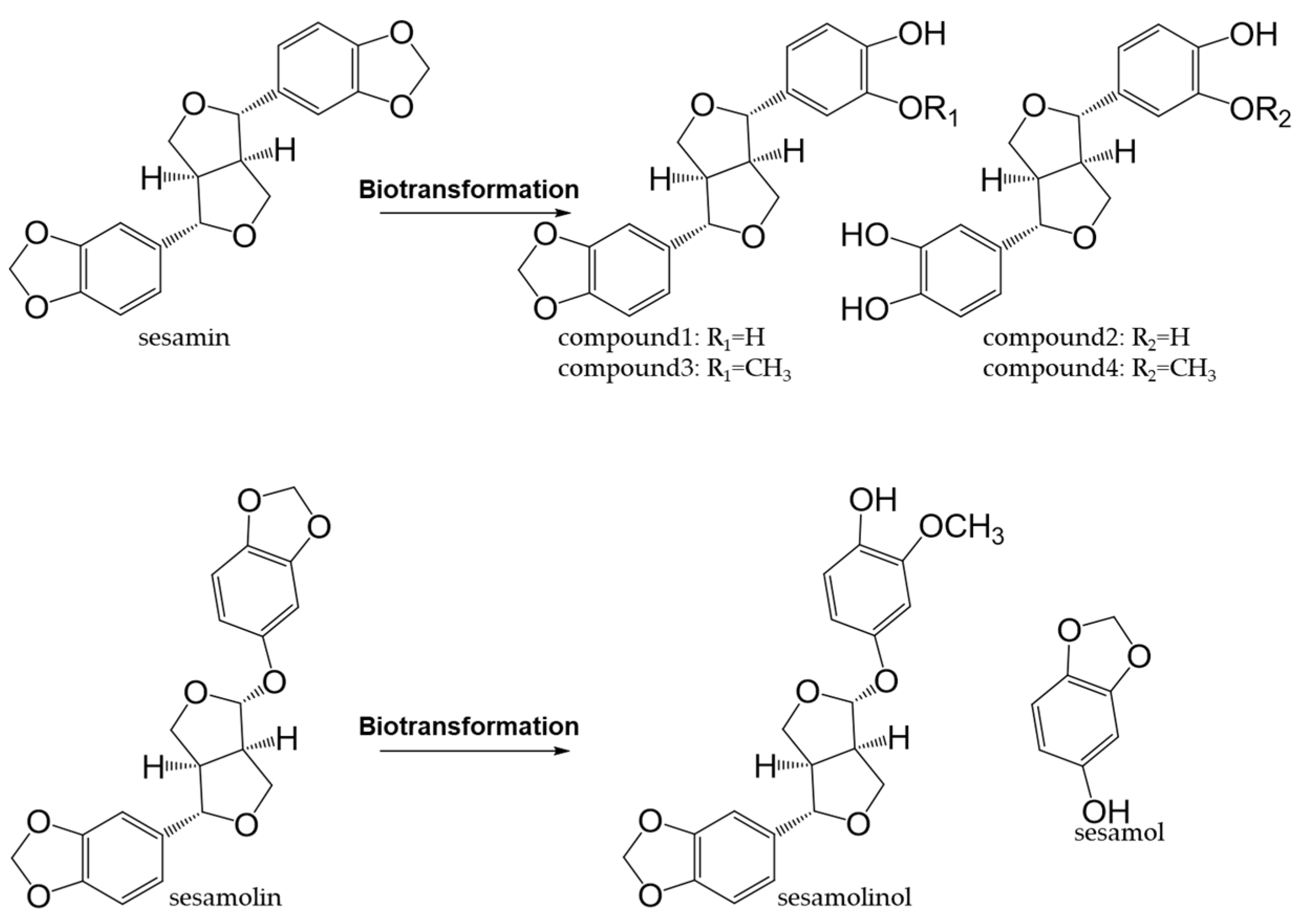 Antioxidants Free FullText Dietary Phenolic Compounds Their Health Benefits and