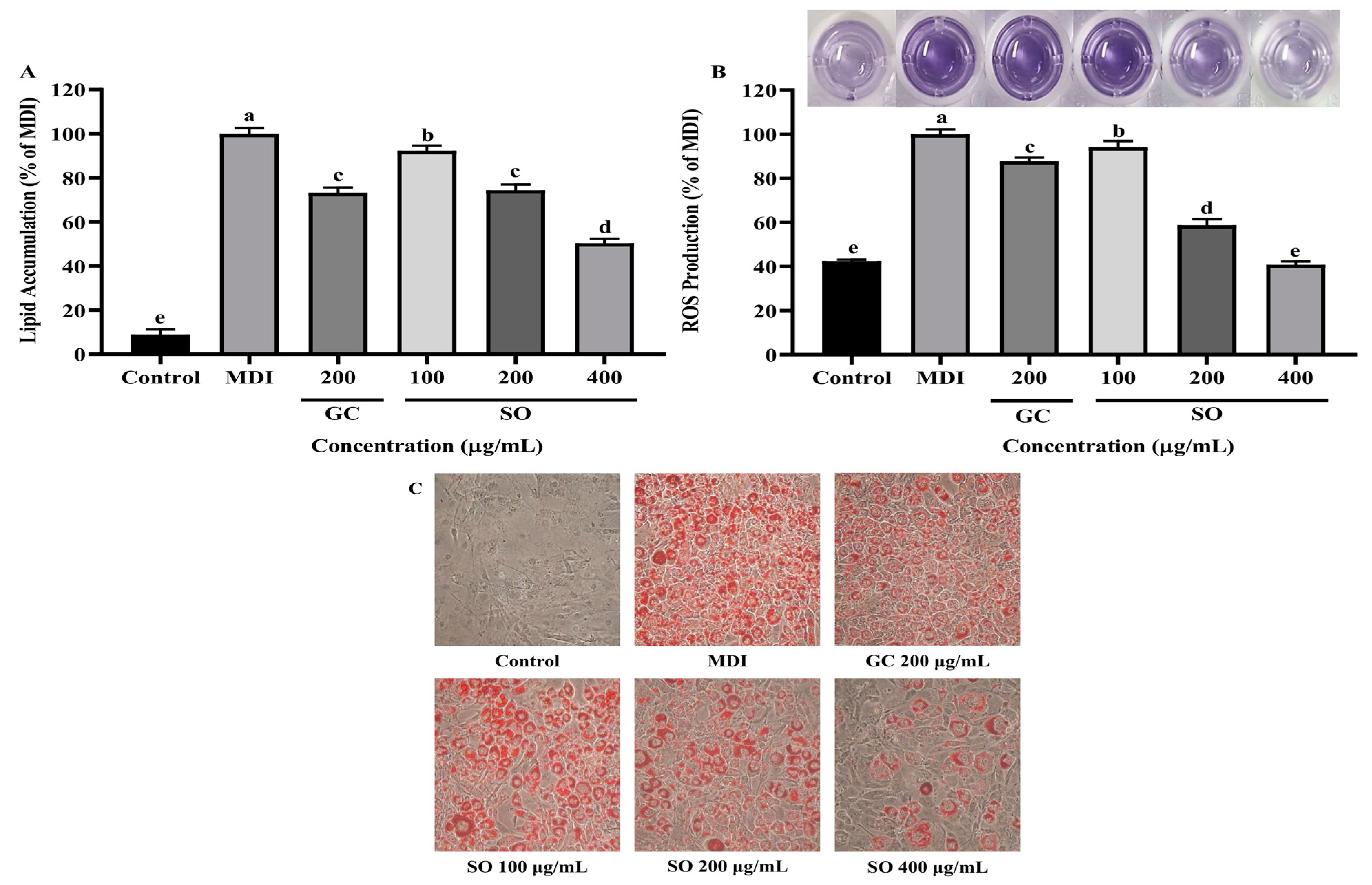 Antioxidants 12 00882 g003