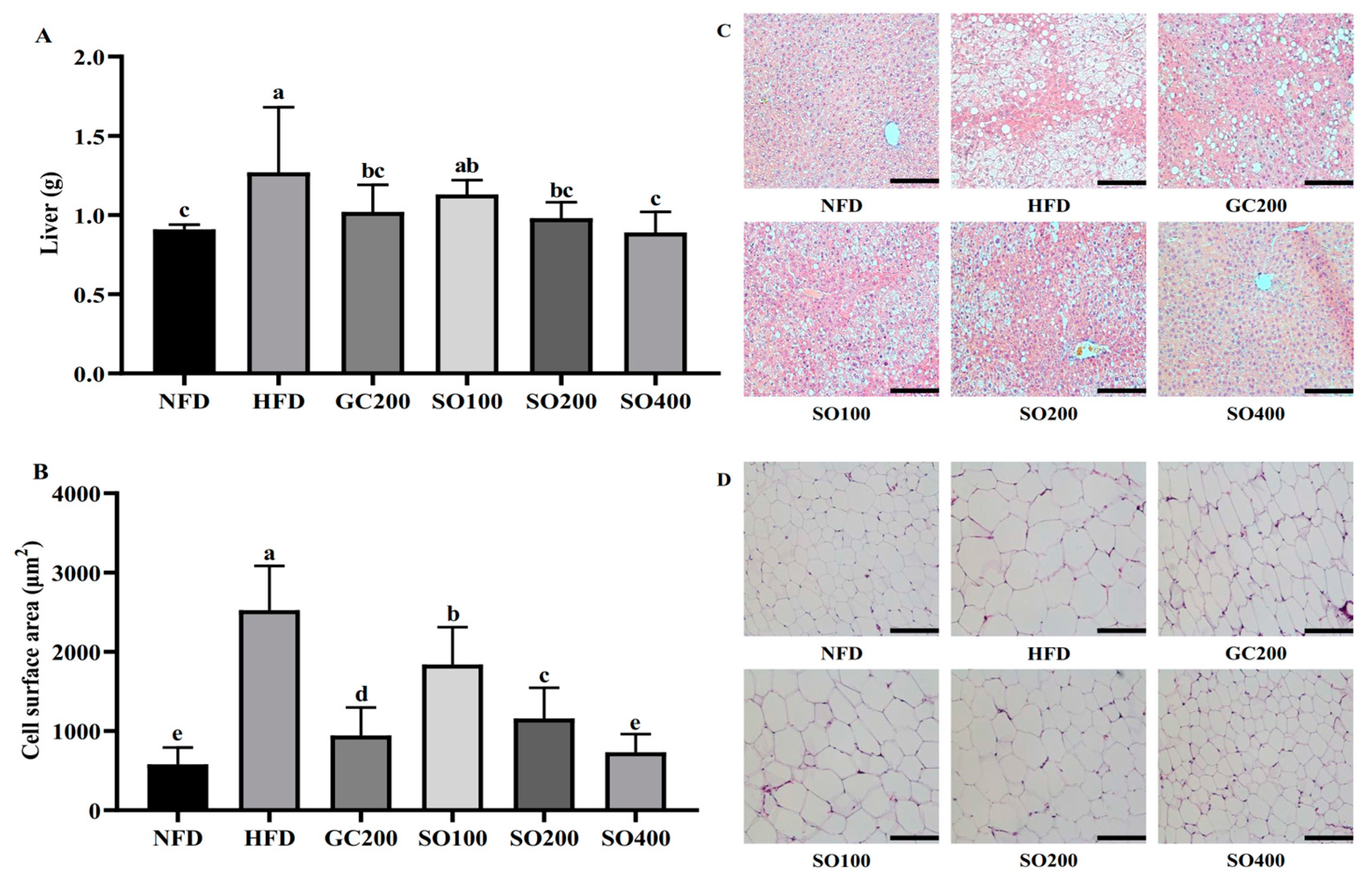 Antioxidants 12 00882 g006