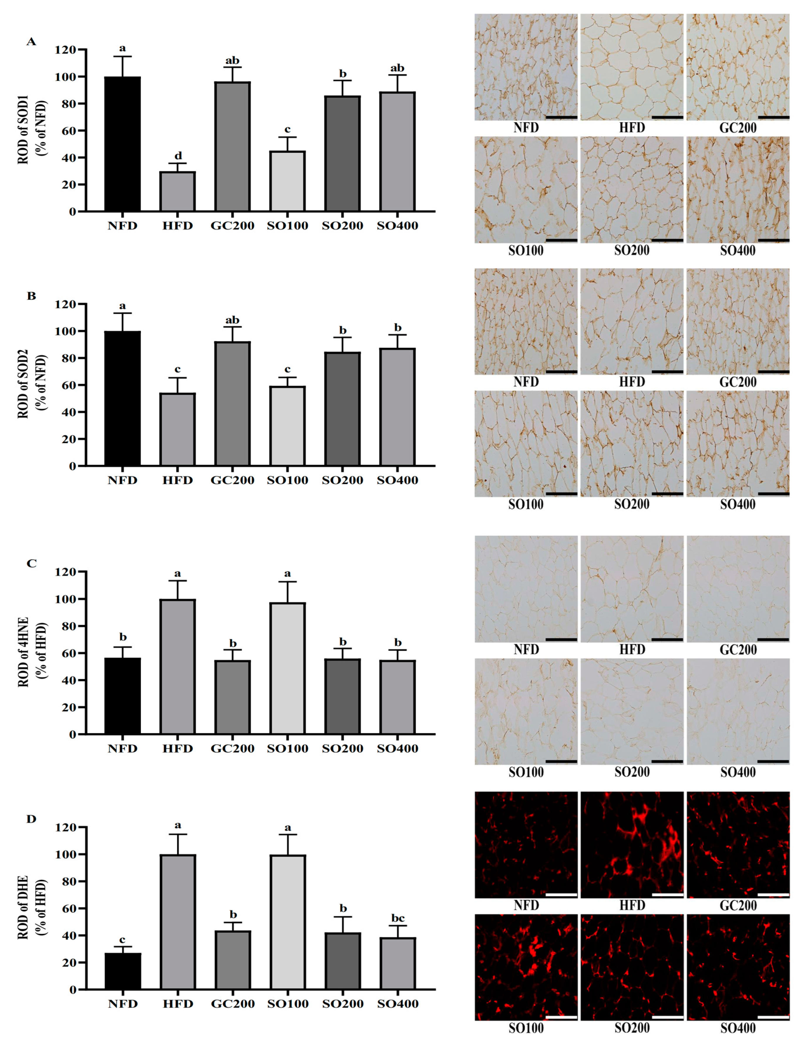 Antioxidants 12 00882 g008