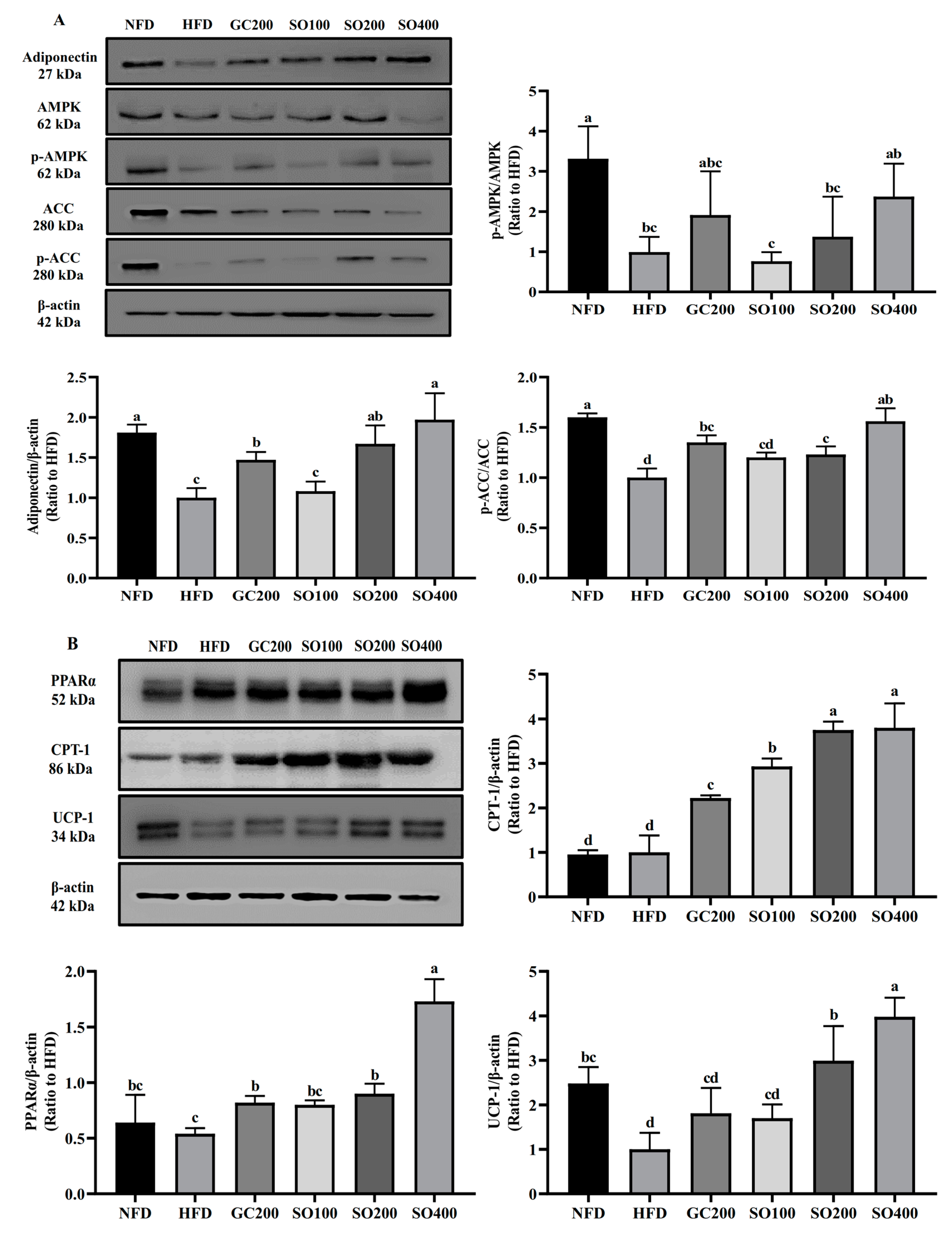 Antioxidants 12 00882 g009