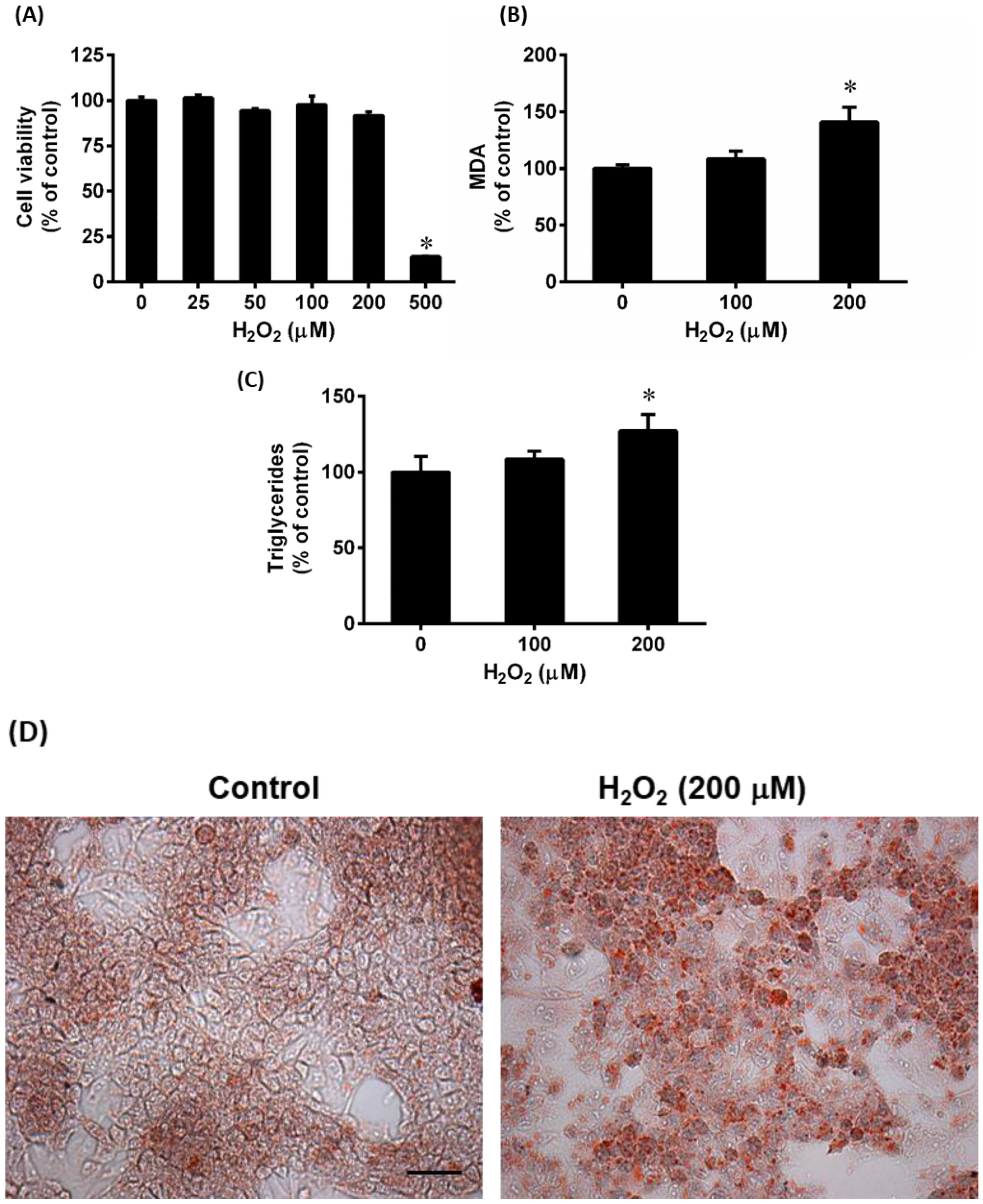 Antioxidants 12 00883 g004 Antioxidants 12 00883 g004