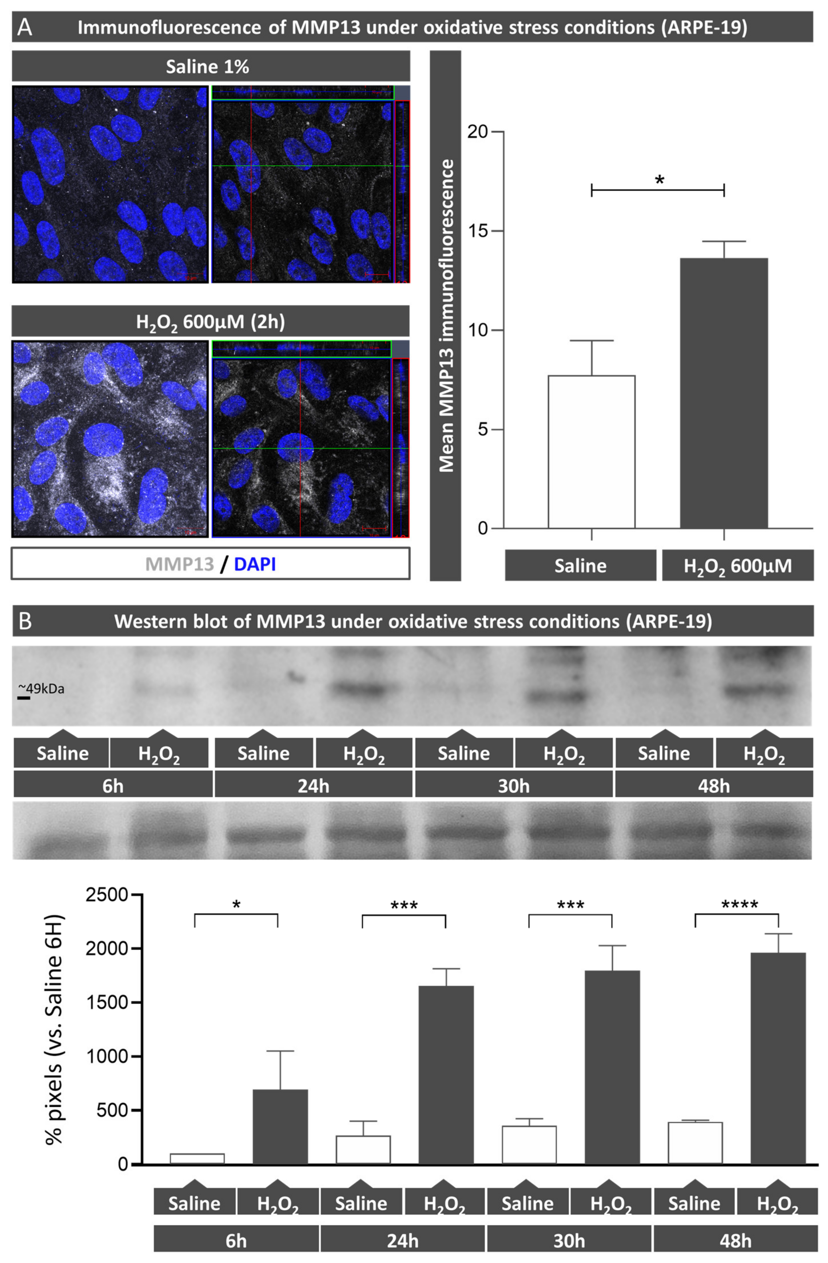 Antioxidants 12 00884 g002