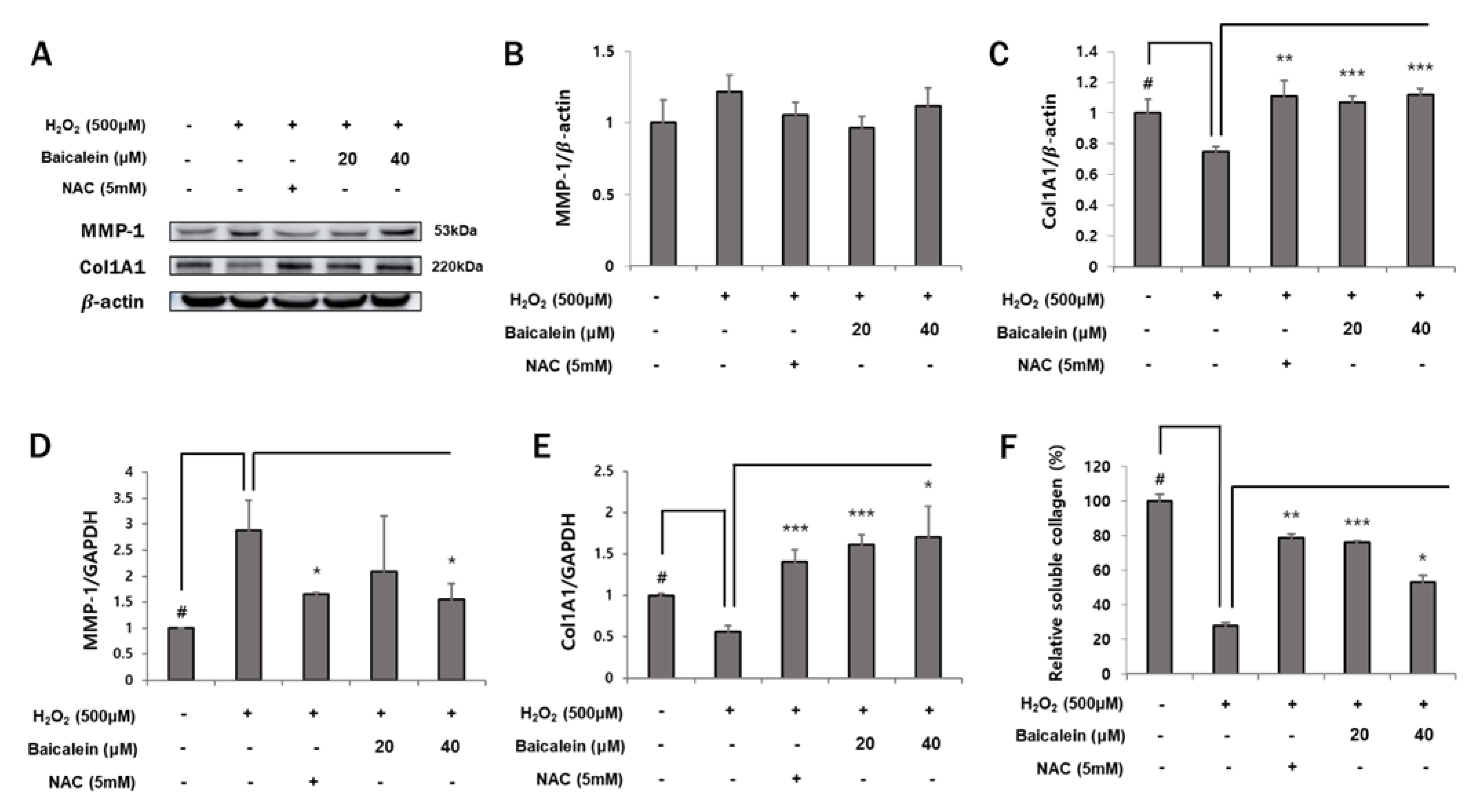 Antioxidants 12 00902 g002 Antioxidants 12 00902 g002
