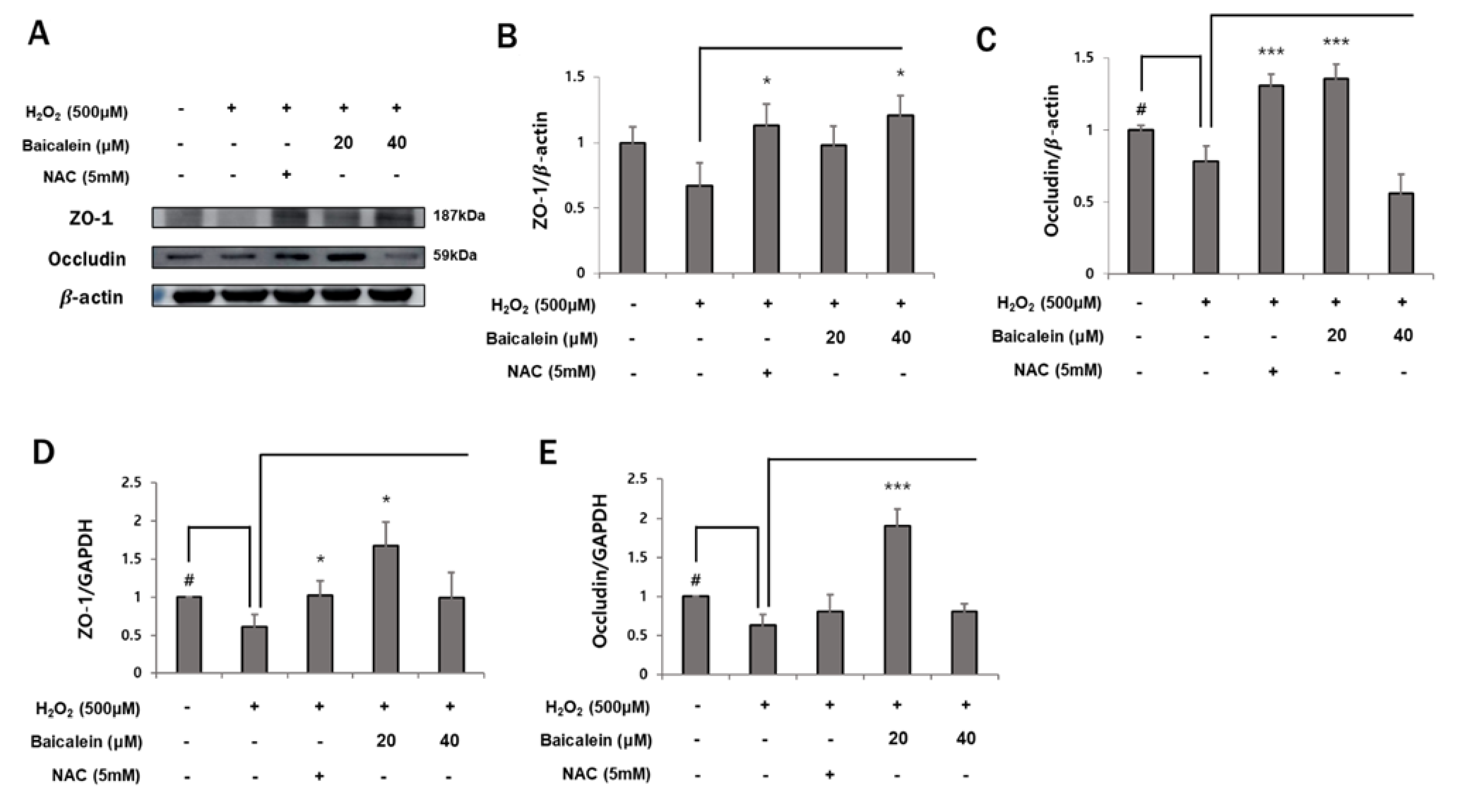 Antioxidants 12 00902 g003a Antioxidants 12 00902 g003a