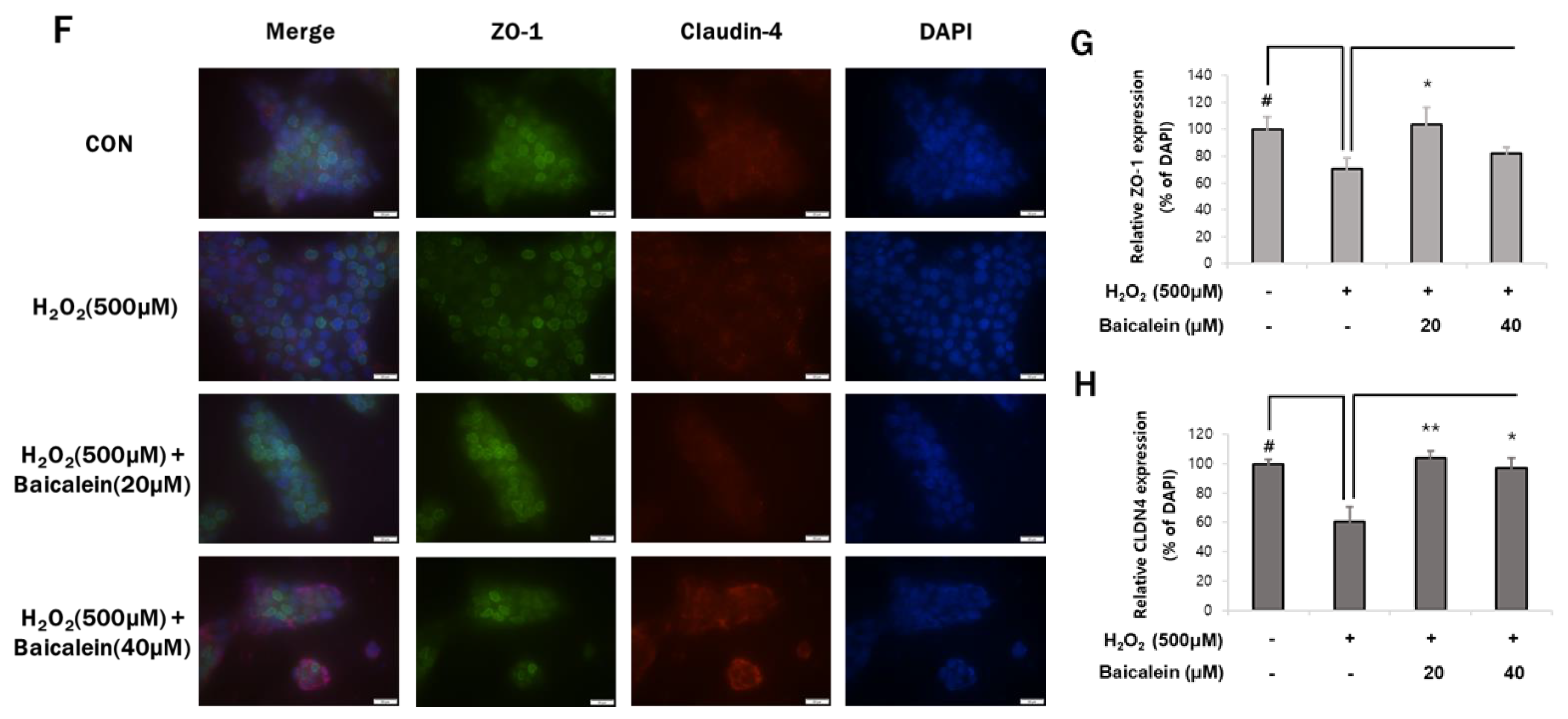 Antioxidants 12 00902 g003b Antioxidants 12 00902 g003b