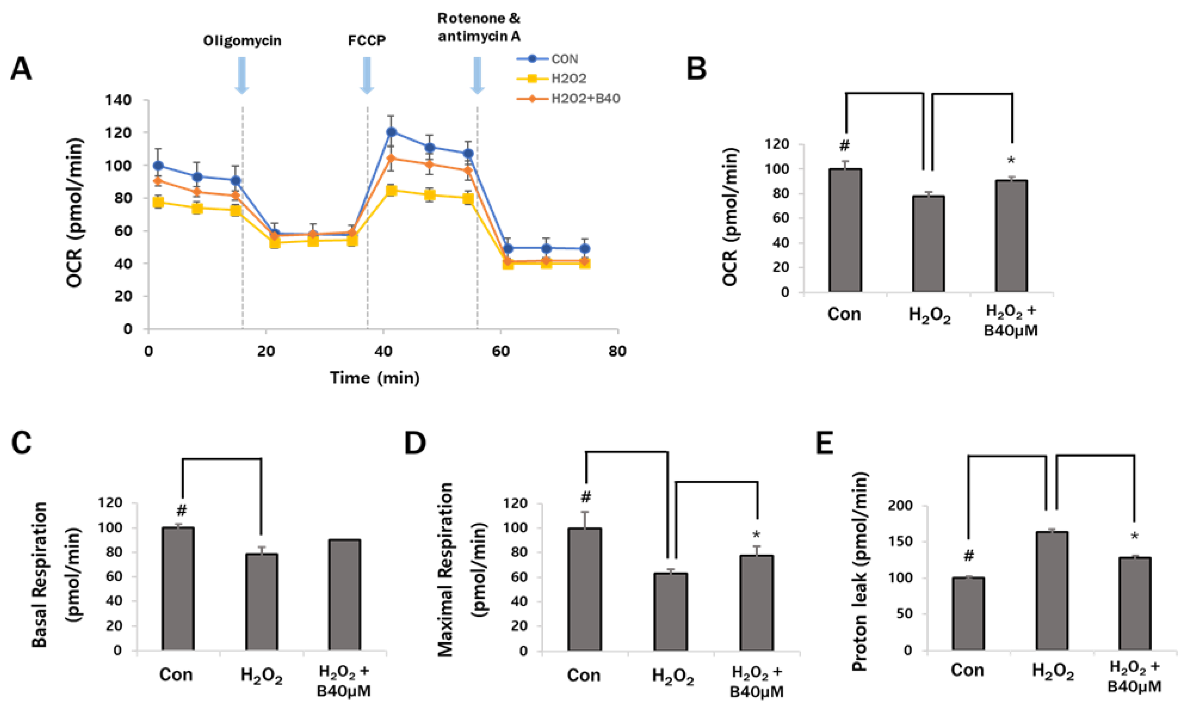 Antioxidants 12 00902 g005 Antioxidants 12 00902 g005