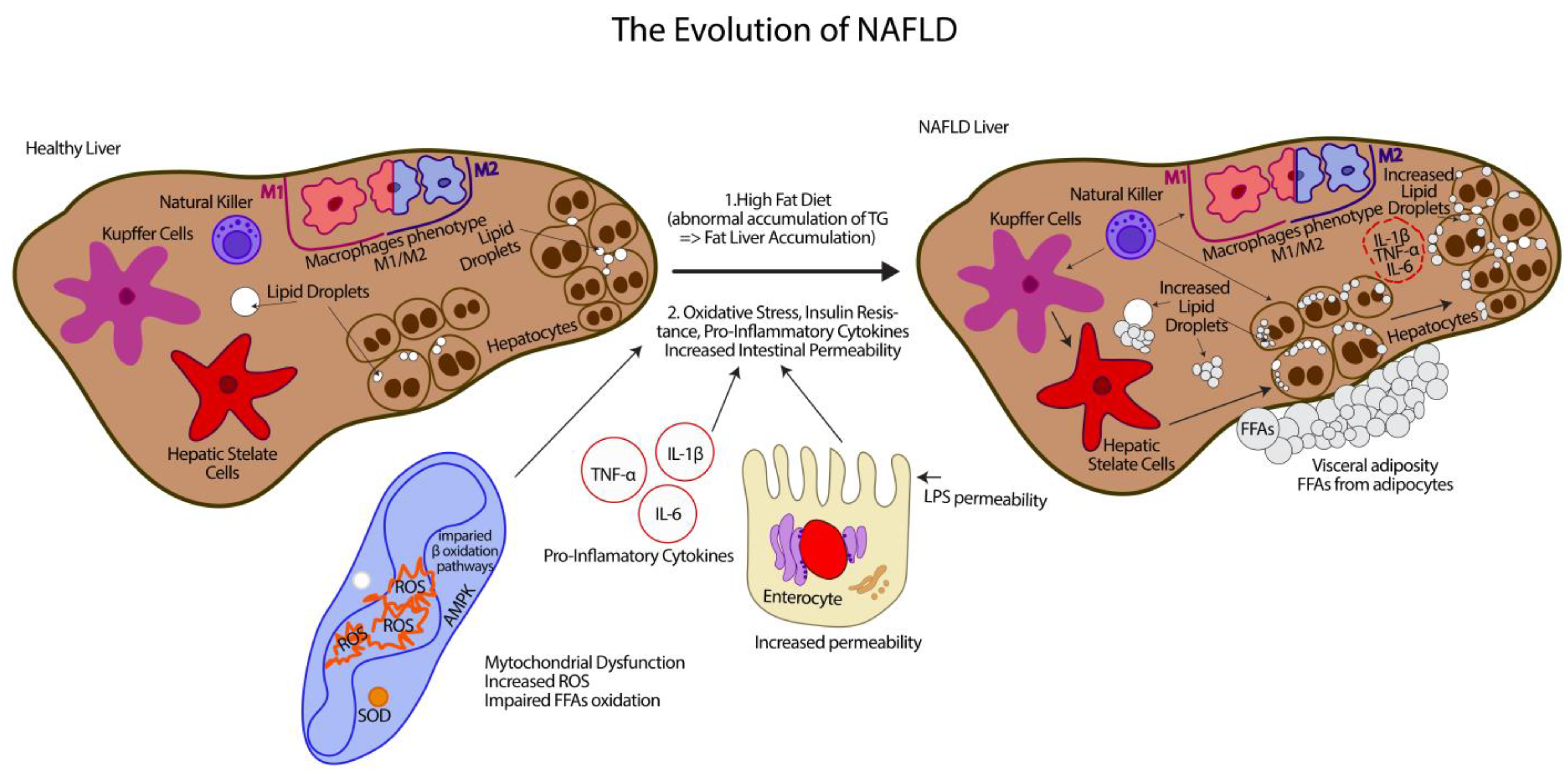 Antioxidants 12 00903 g001