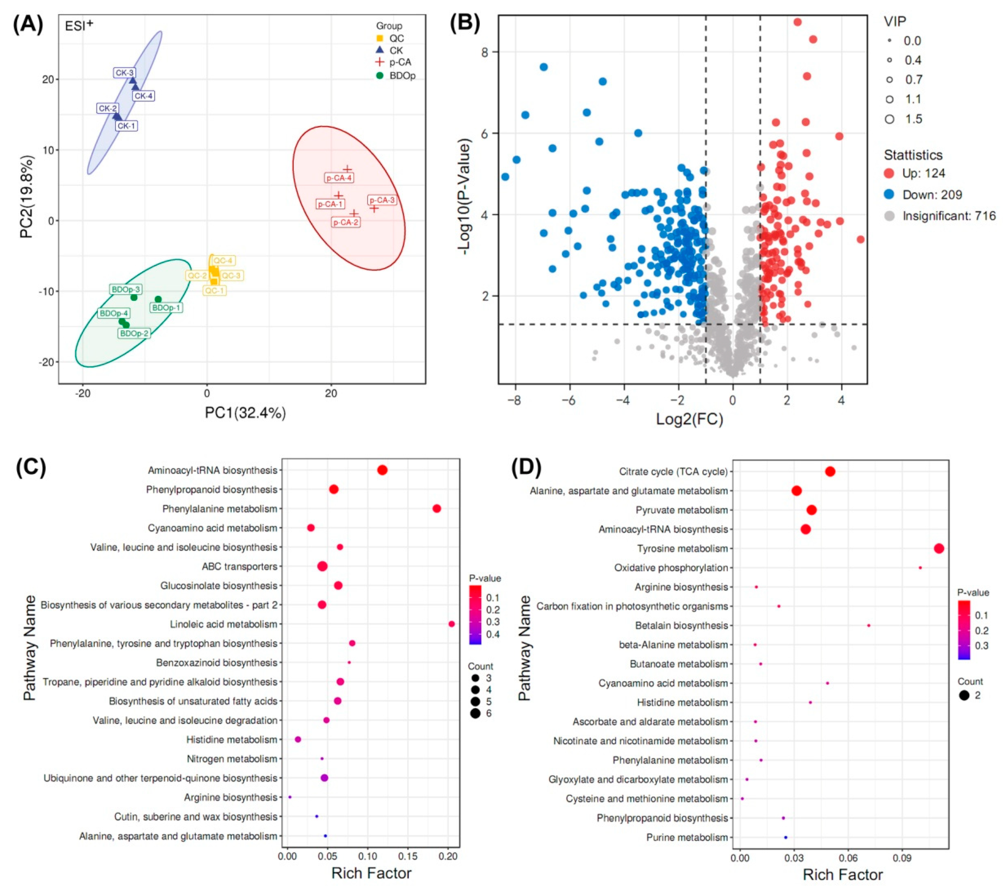 Antioxidants 12 00910 g004 Antioxidants 12 00910 g004
