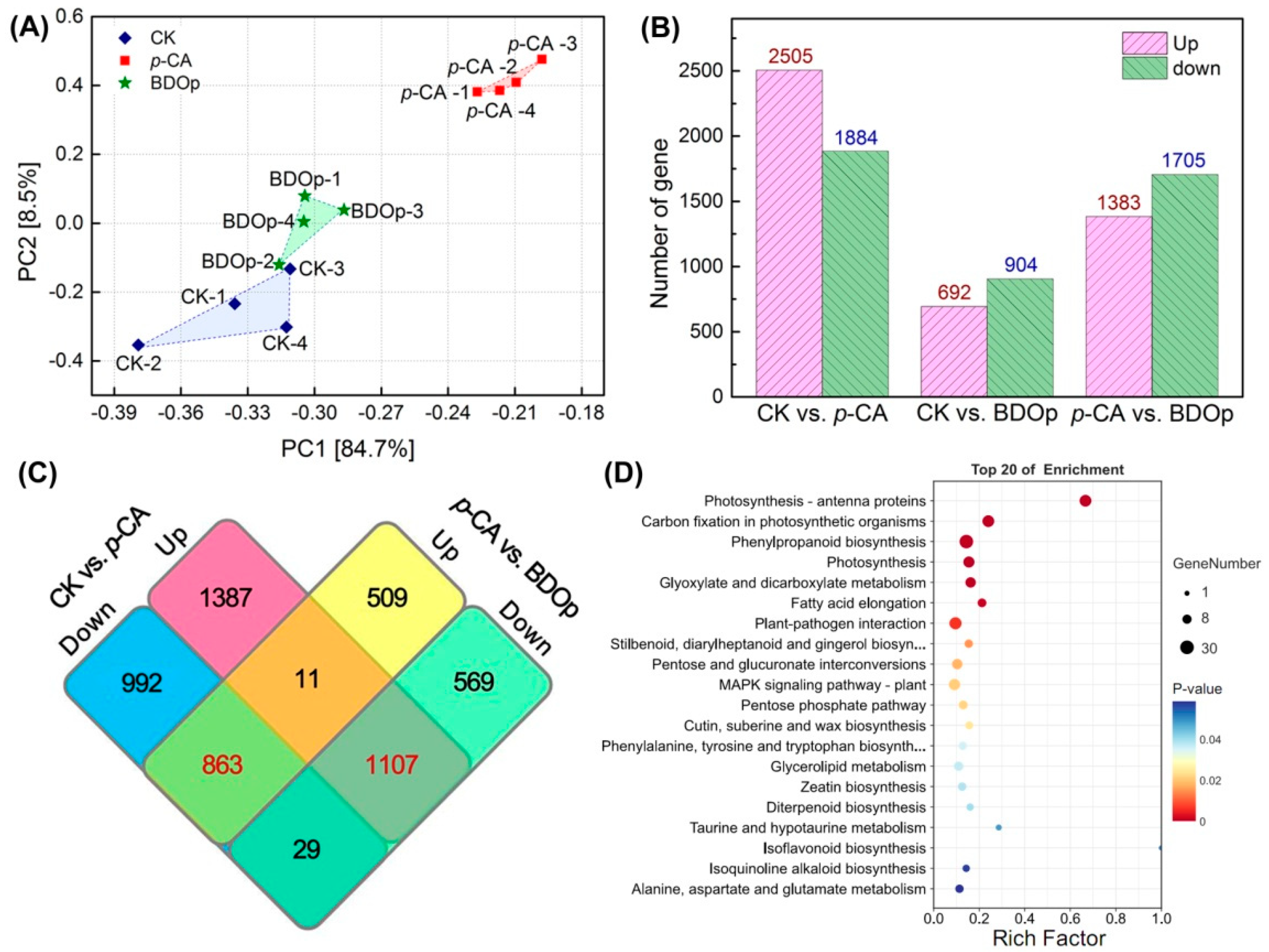 Antioxidants 12 00910 g005 Antioxidants 12 00910 g005