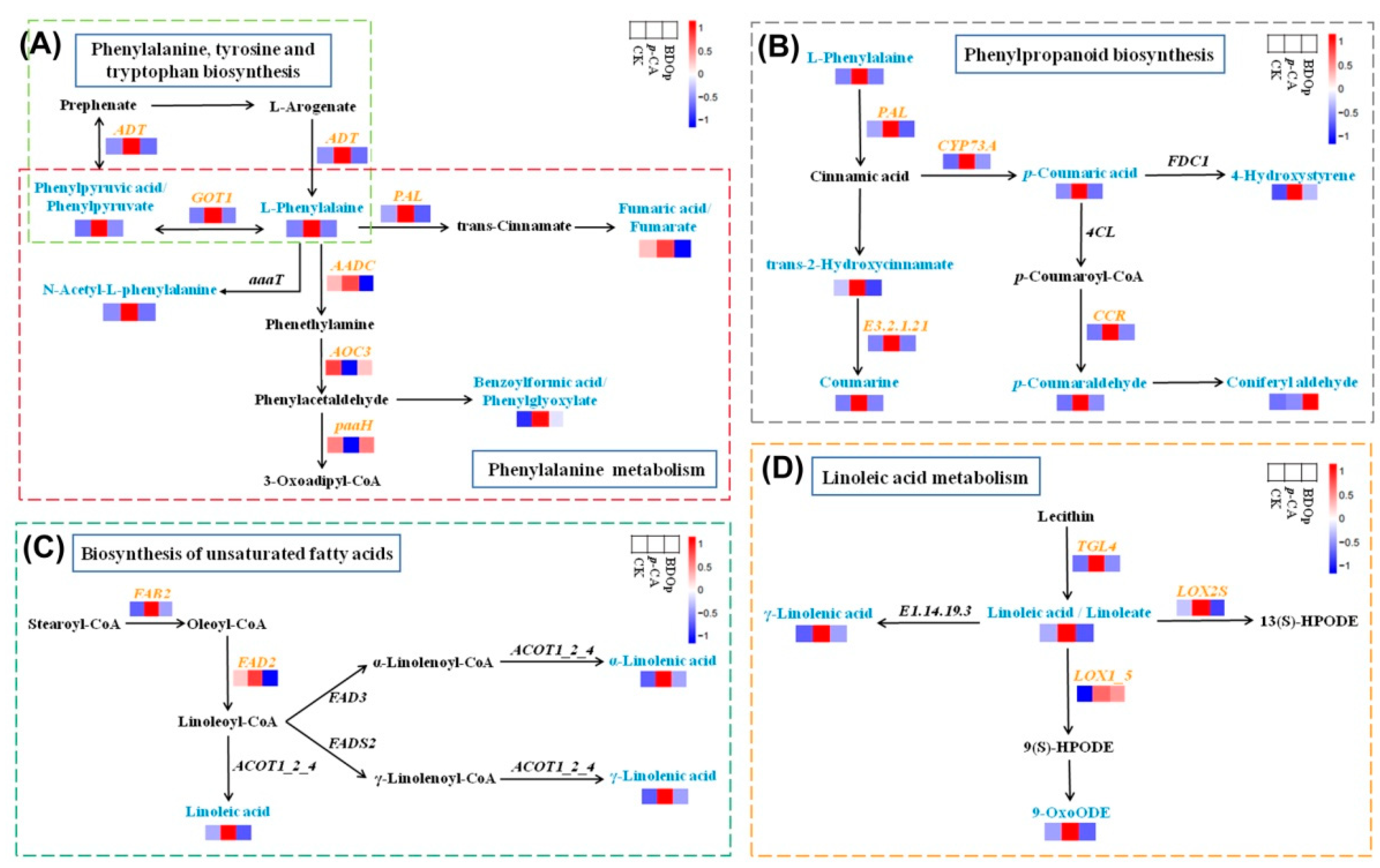 Antioxidants 12 00910 g008 Antioxidants 12 00910 g008