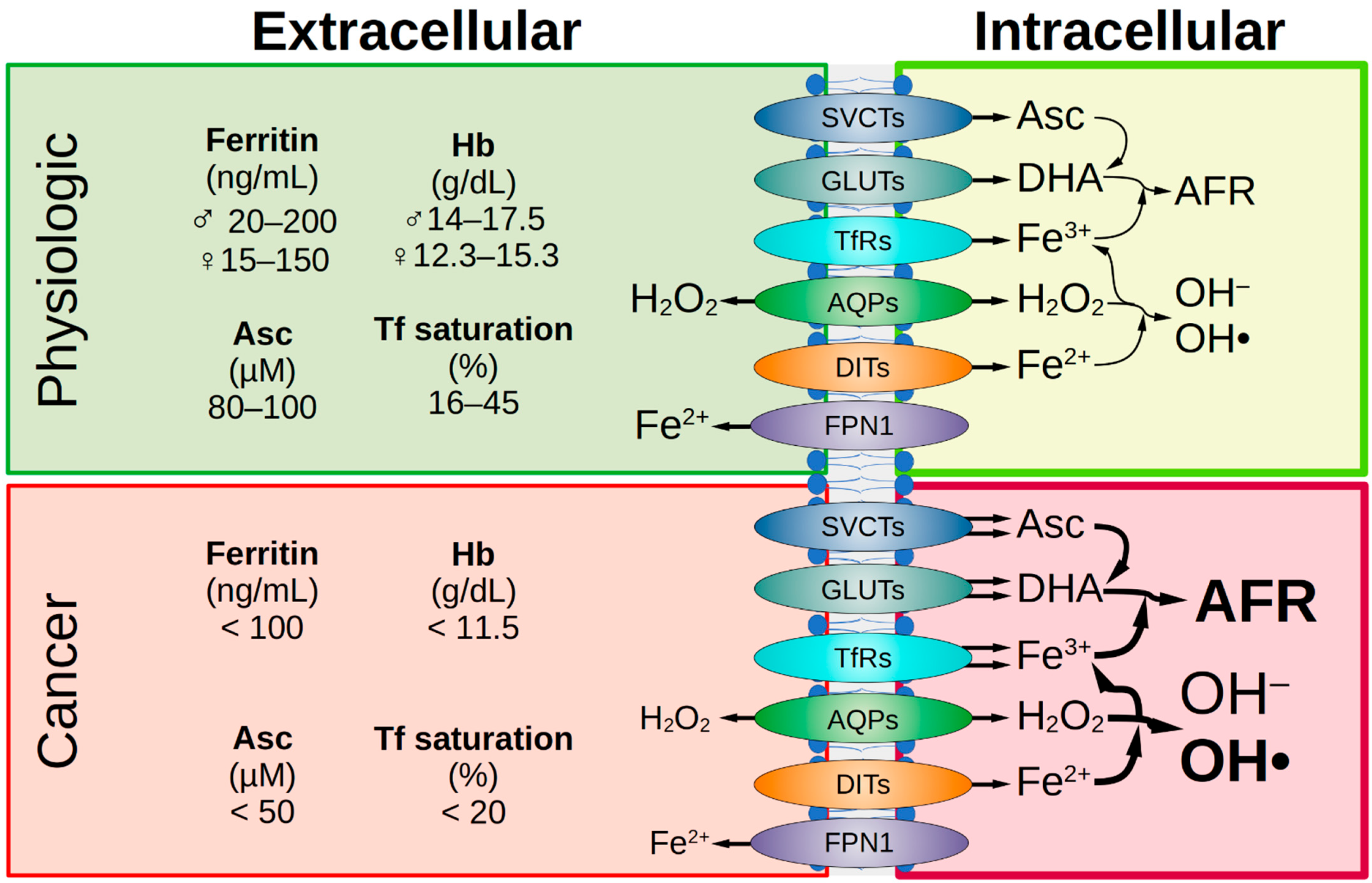 Antioxidants 12 00916 g002