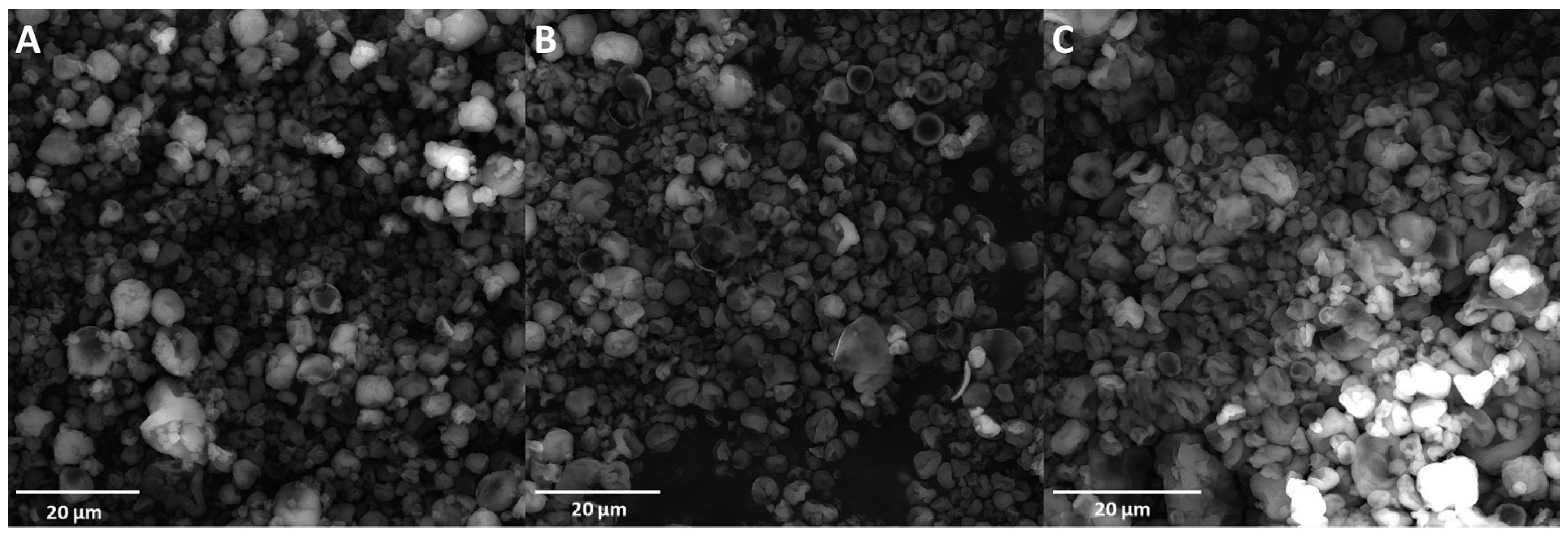 Antioxidants 12 00919 g002 Antioxidants 12 00919 g002