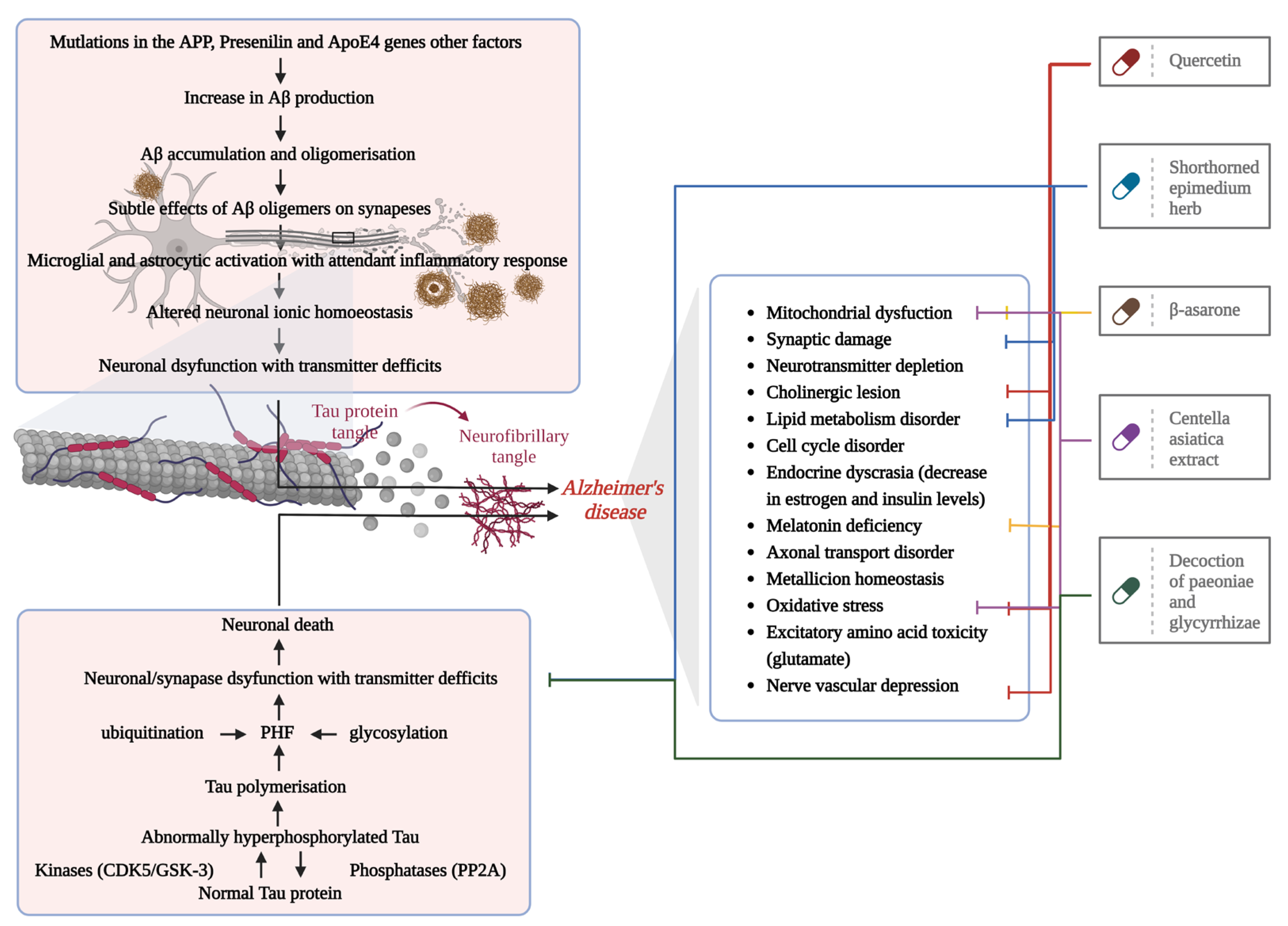Antioxidants 12 00920 g003 Antioxidants 12 00920 g003