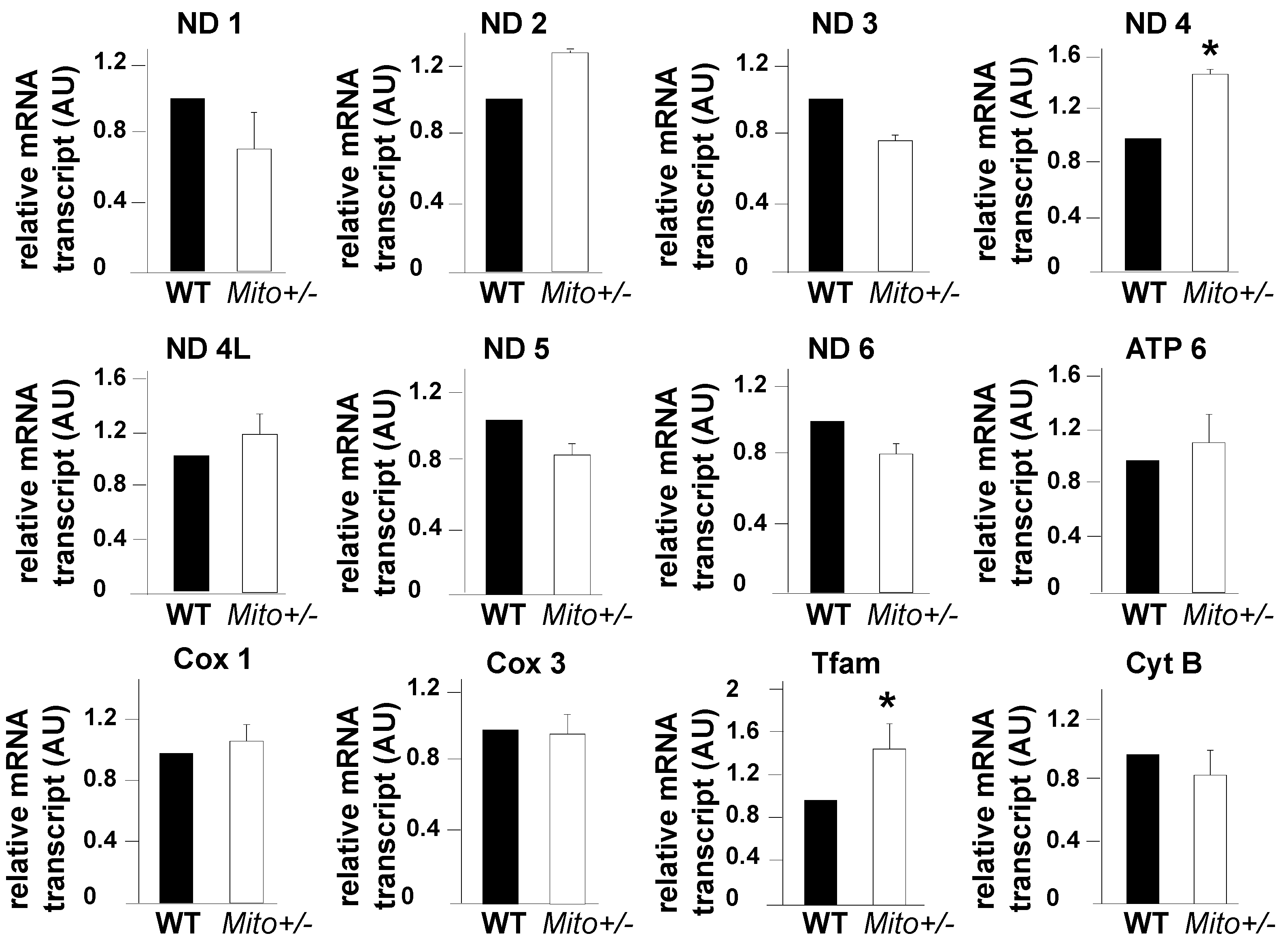 Antioxidants 12 00921 g009