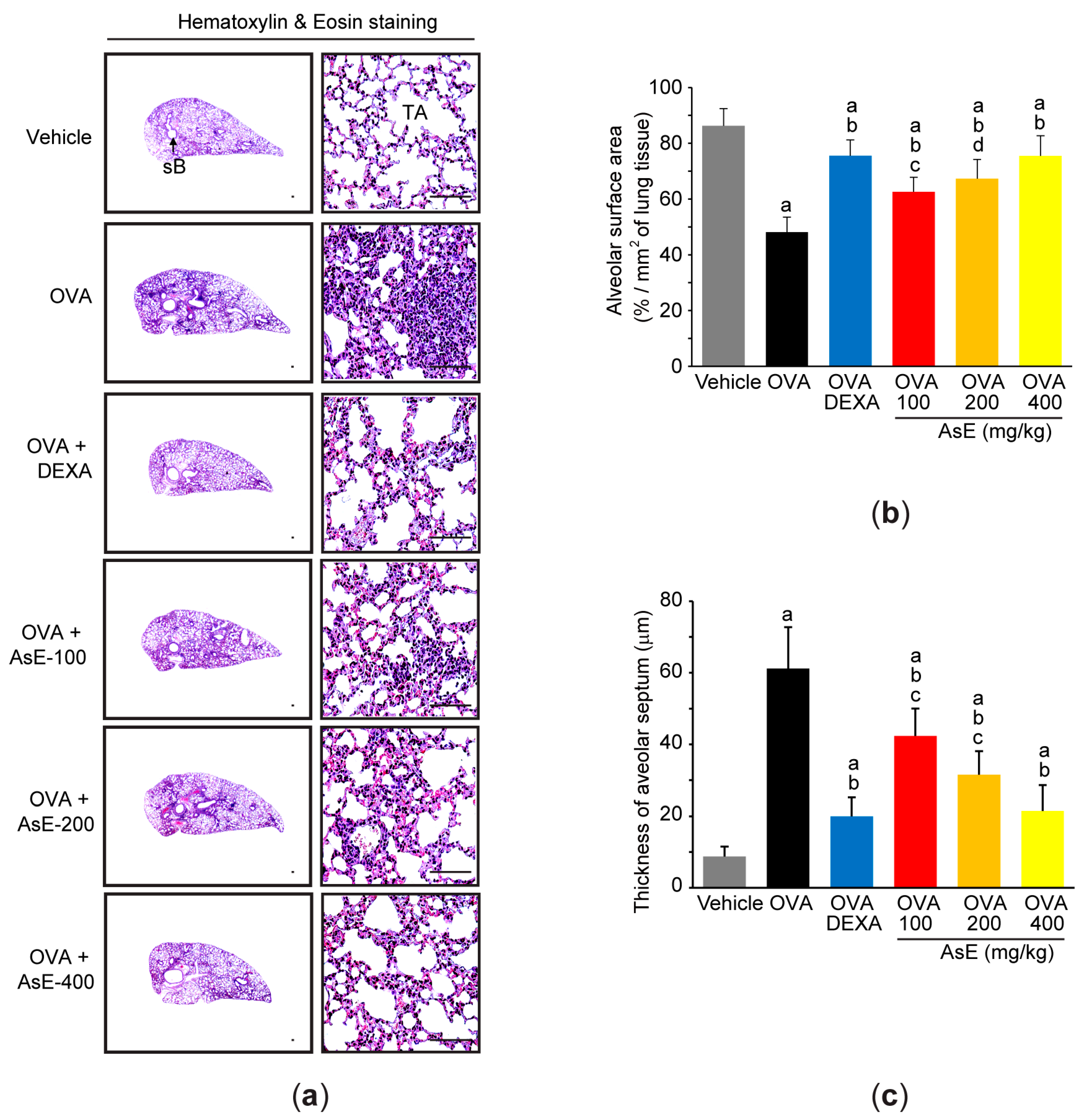 Antioxidants 12 00922 g002 Antioxidants 12 00922 g002