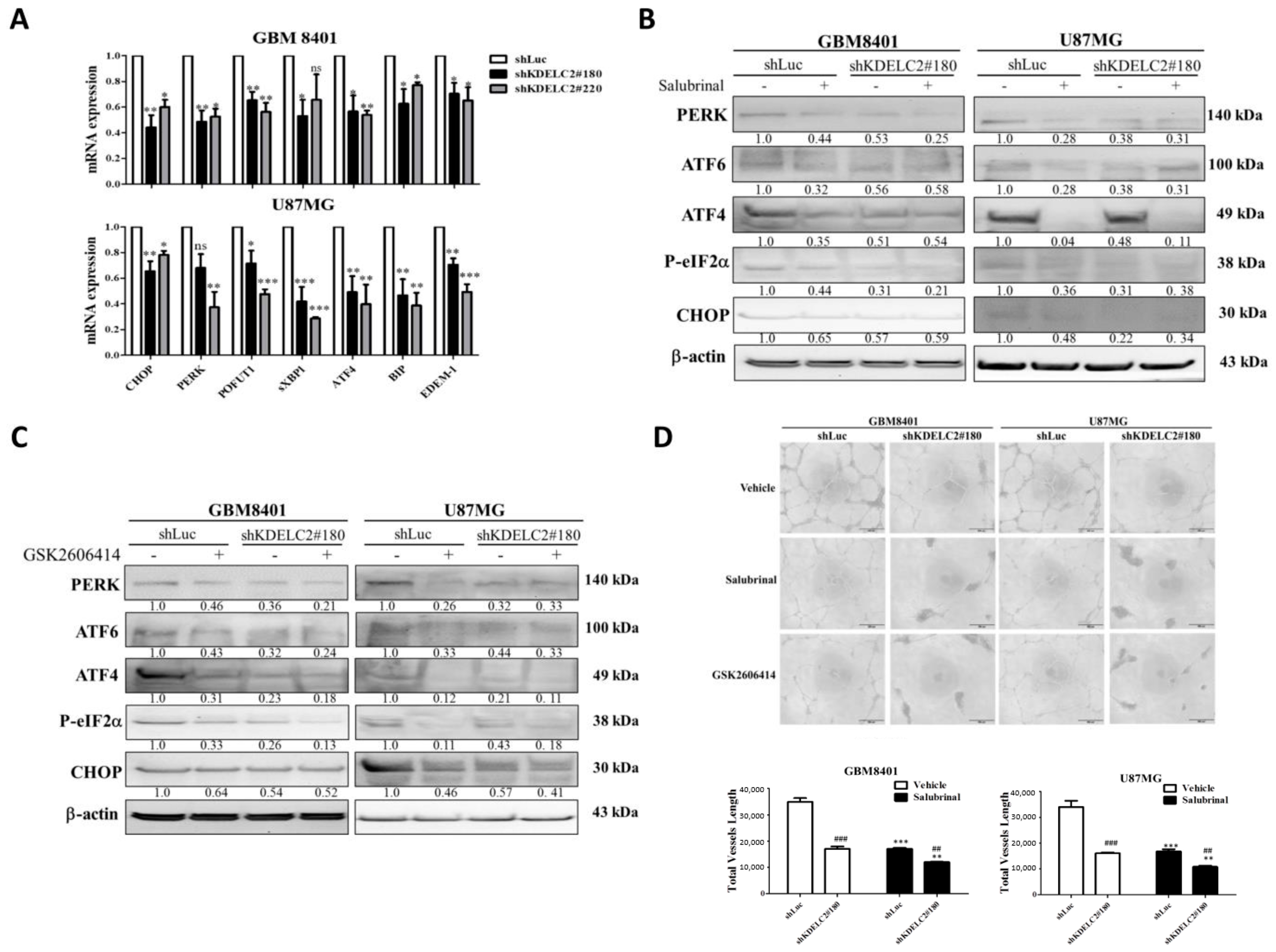 Antioxidants 12 00923 g003 Antioxidants 12 00923 g003