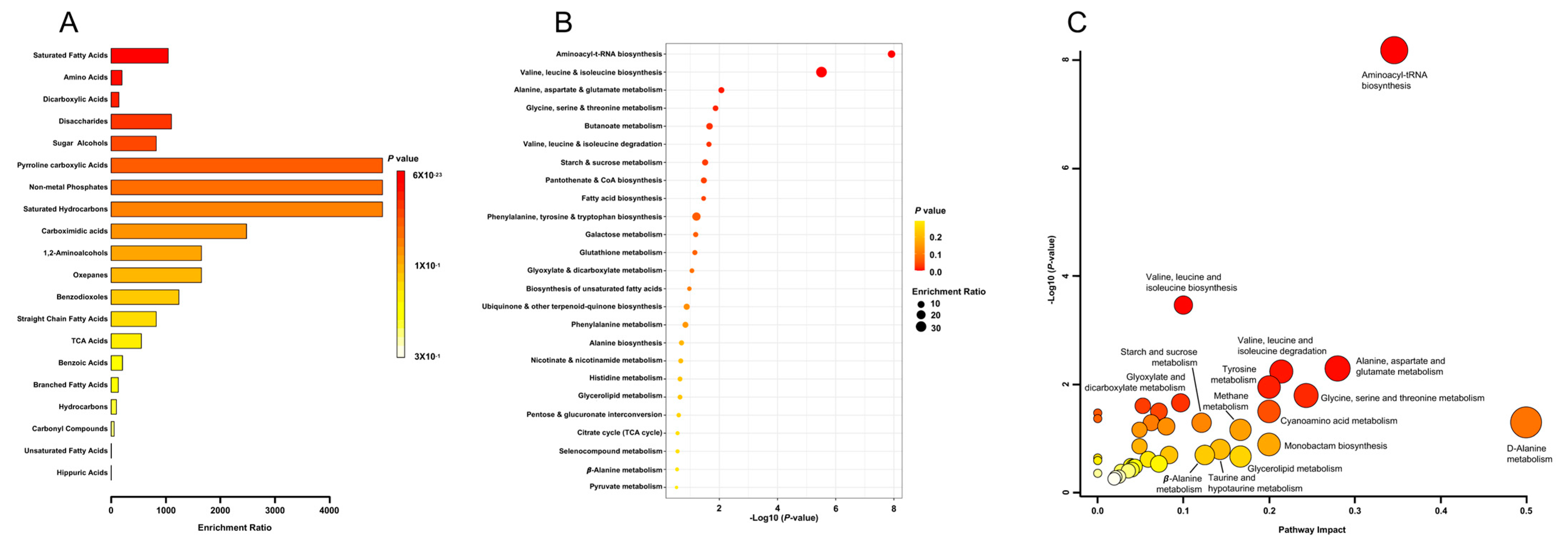 Antioxidants 12 00930 g002