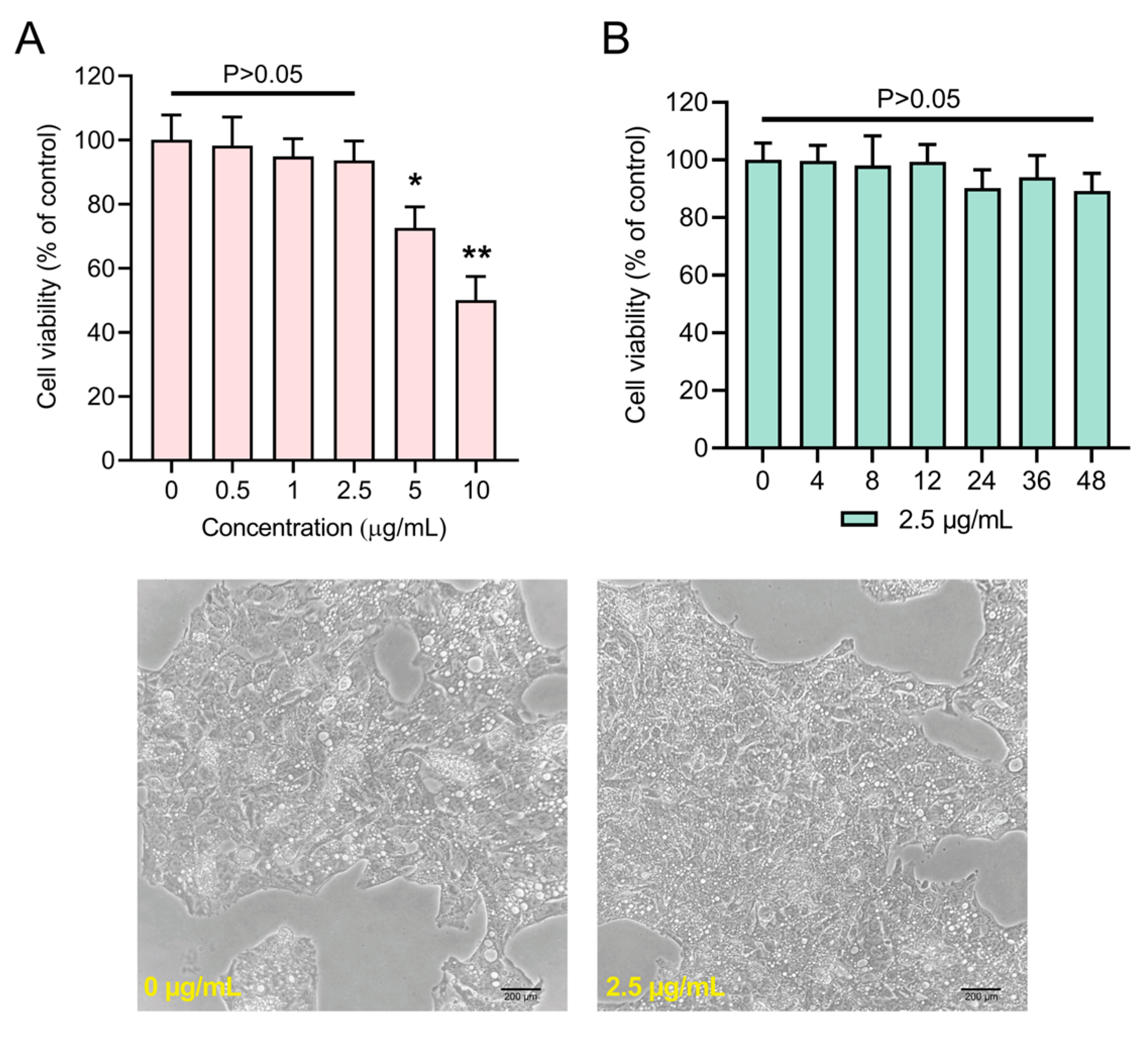 Antioxidants 12 00930 g004