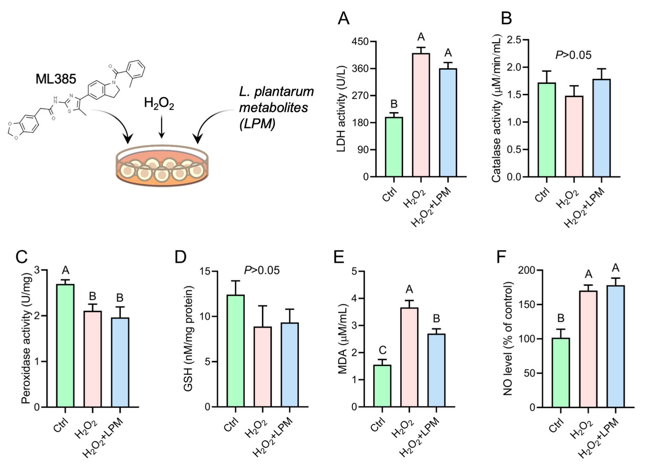 Antioxidants 12 00930 g006