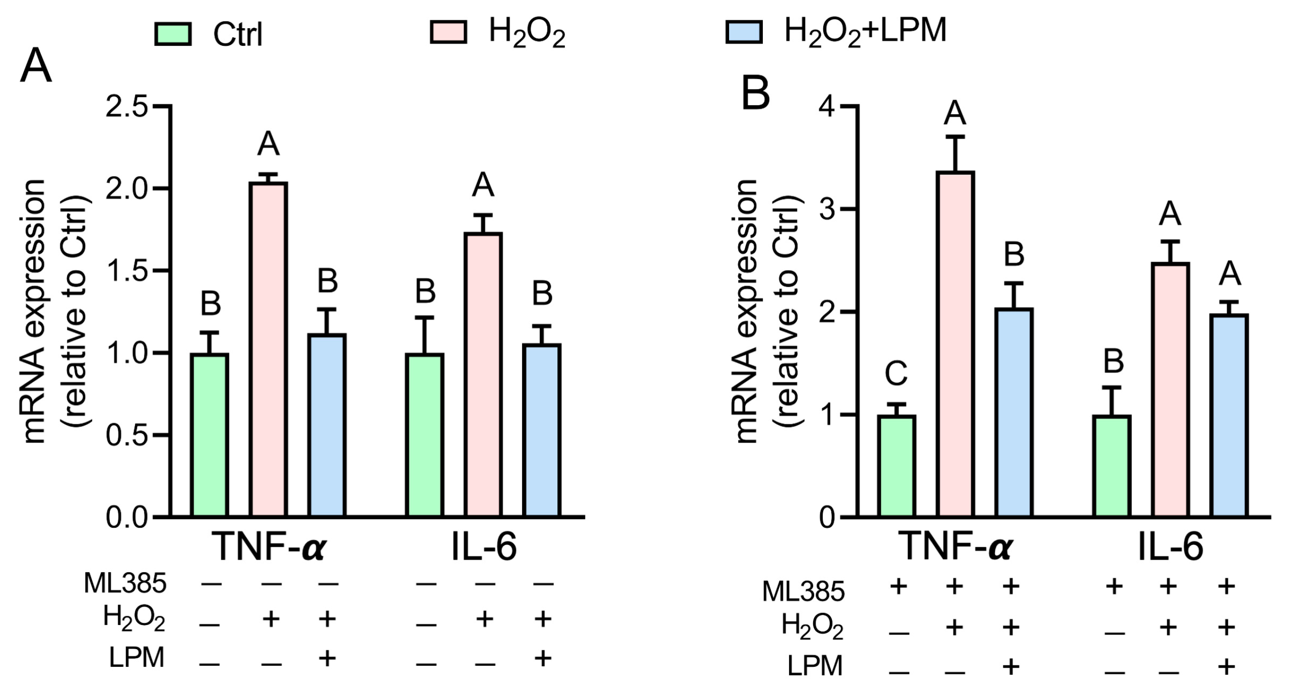 Antioxidants 12 00930 g007