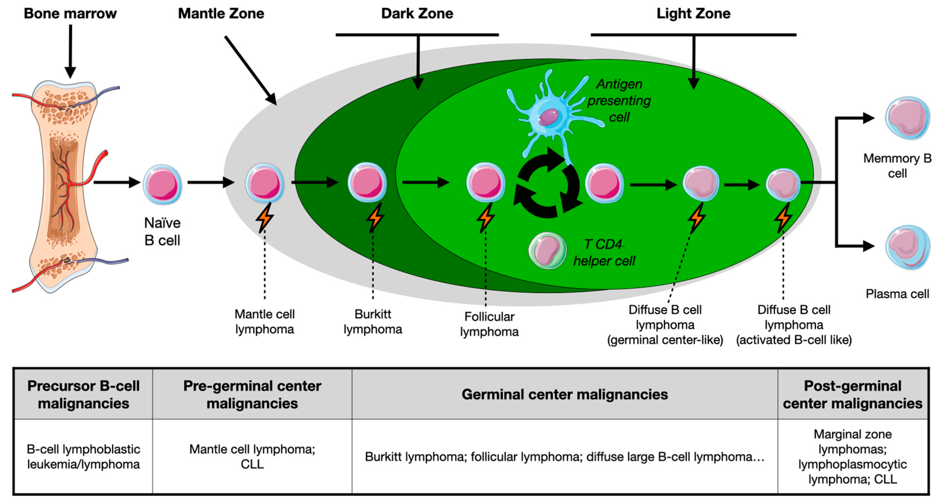 Flanking Tactics for Active Killer Response