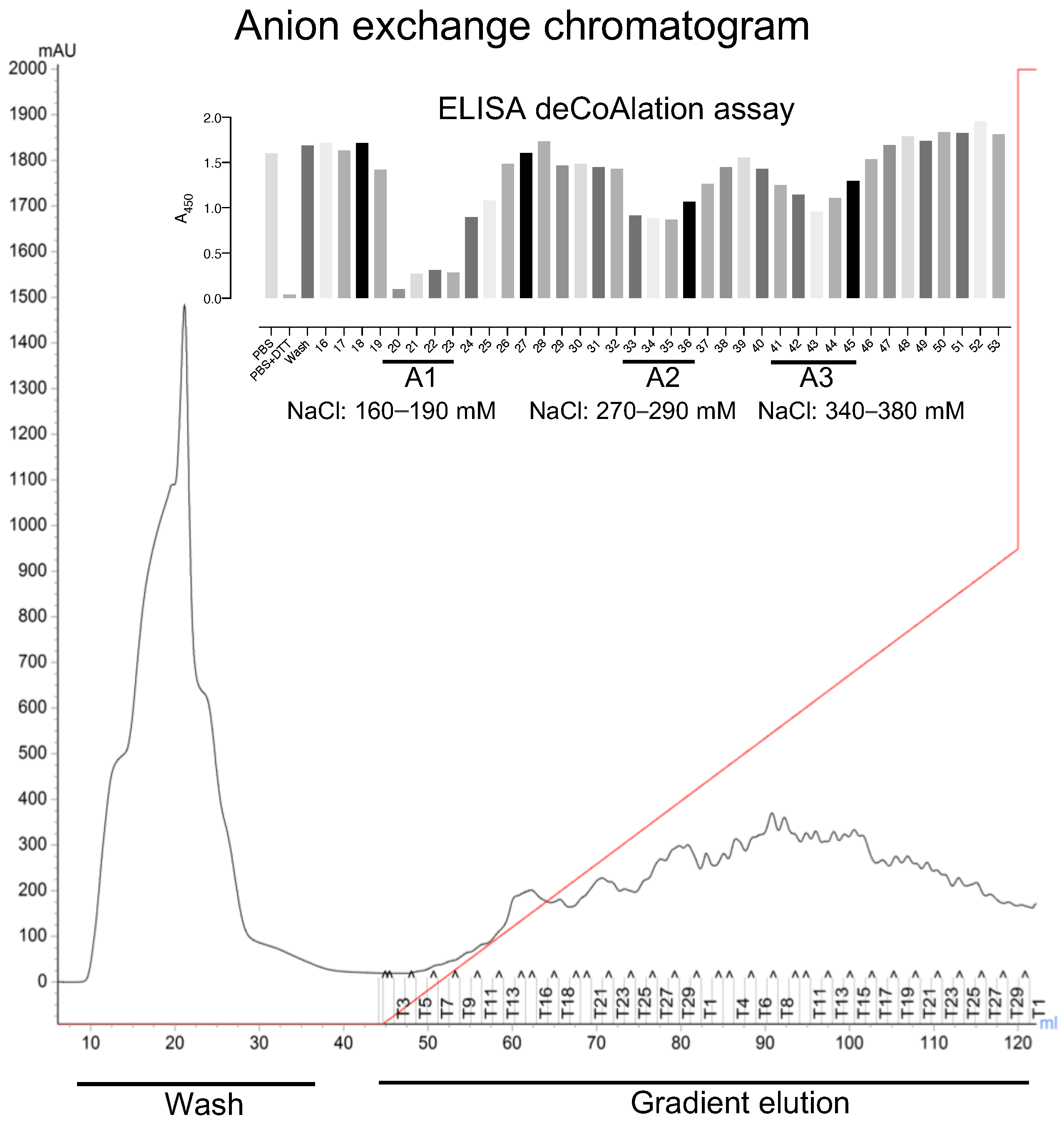 Antioxidants 12 00938 g002 Antioxidants 12 00938 g002