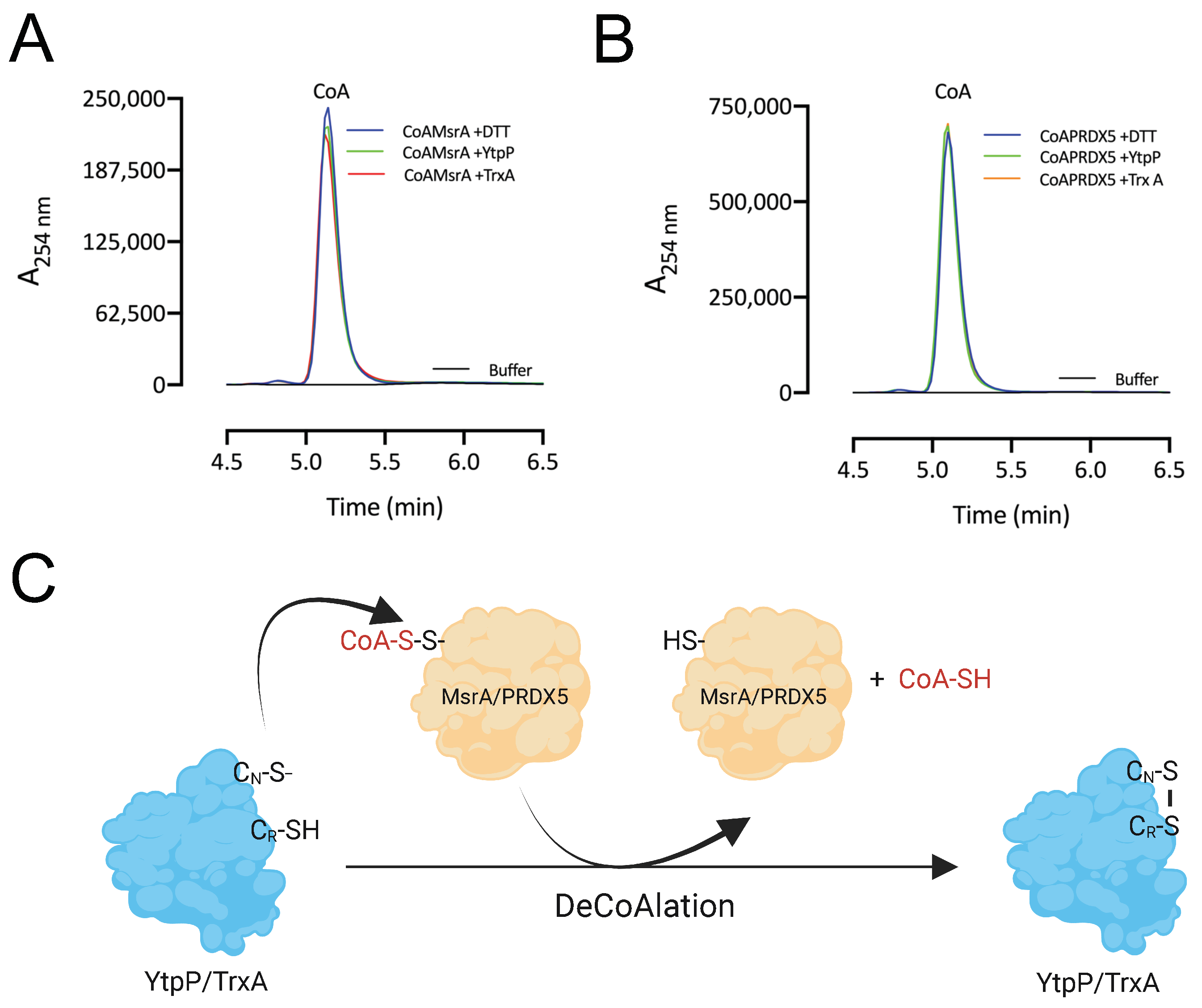 Antioxidants 12 00938 g006 Antioxidants 12 00938 g006