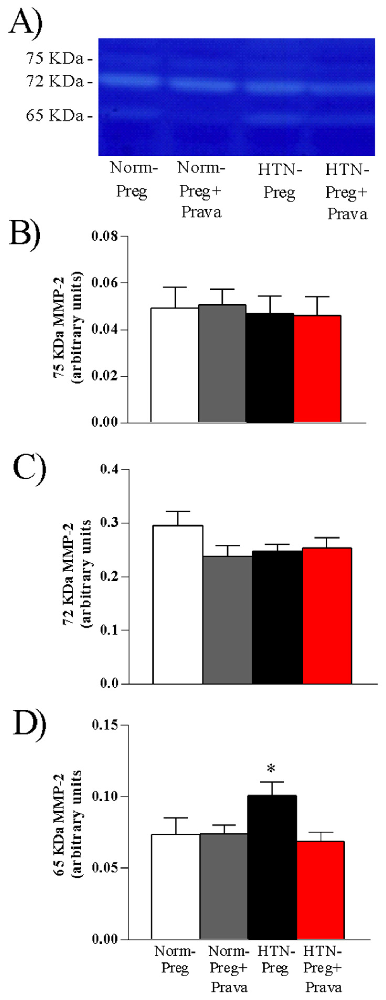 Antioxidants 12 00939 g007 Antioxidants 12 00939 g007