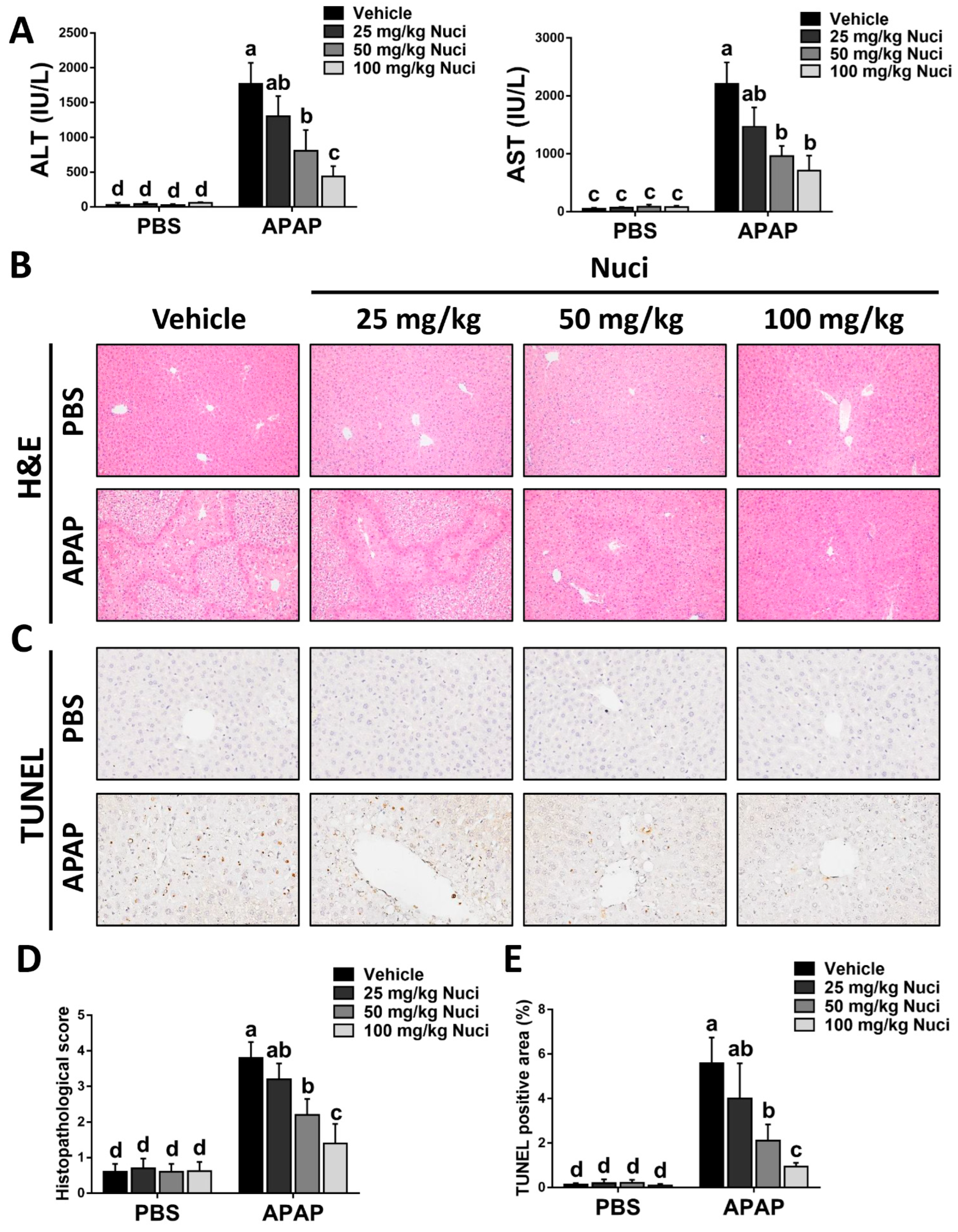 Antioxidants 12 00949 g002 Antioxidants 12 00949 g002